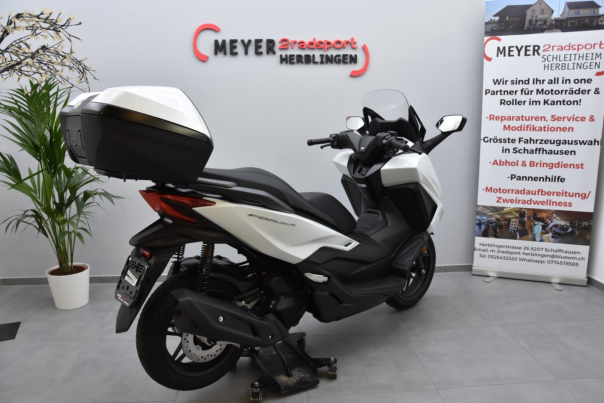 HONDA Nss 125 Forza Smart TopBox Sommeraktion bis 31.8.26-image-5