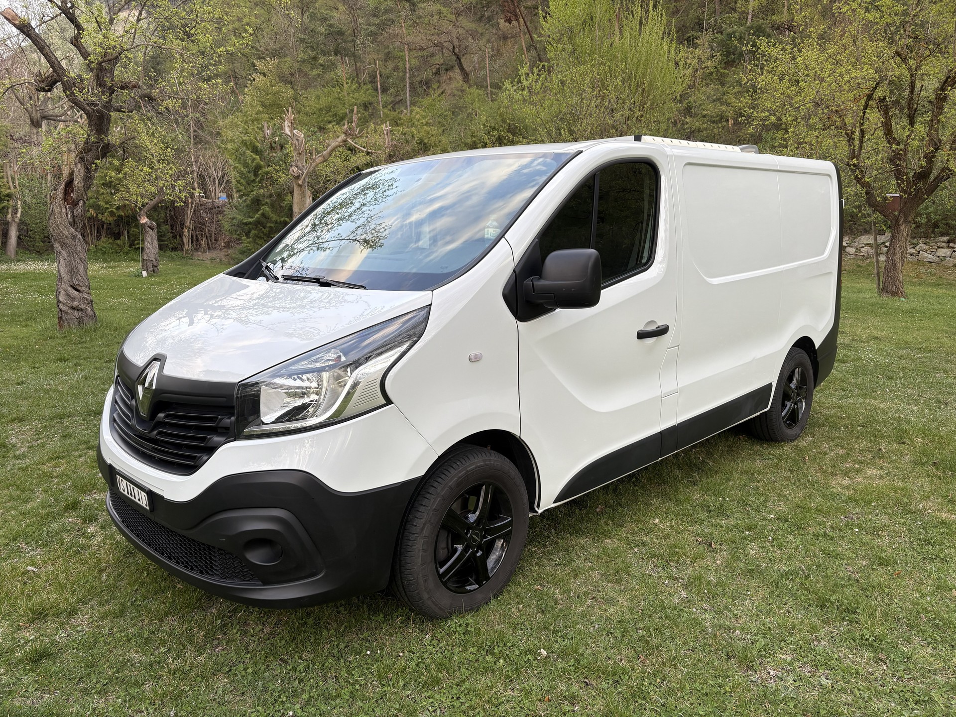 RENAULT TRAFIC-image-1