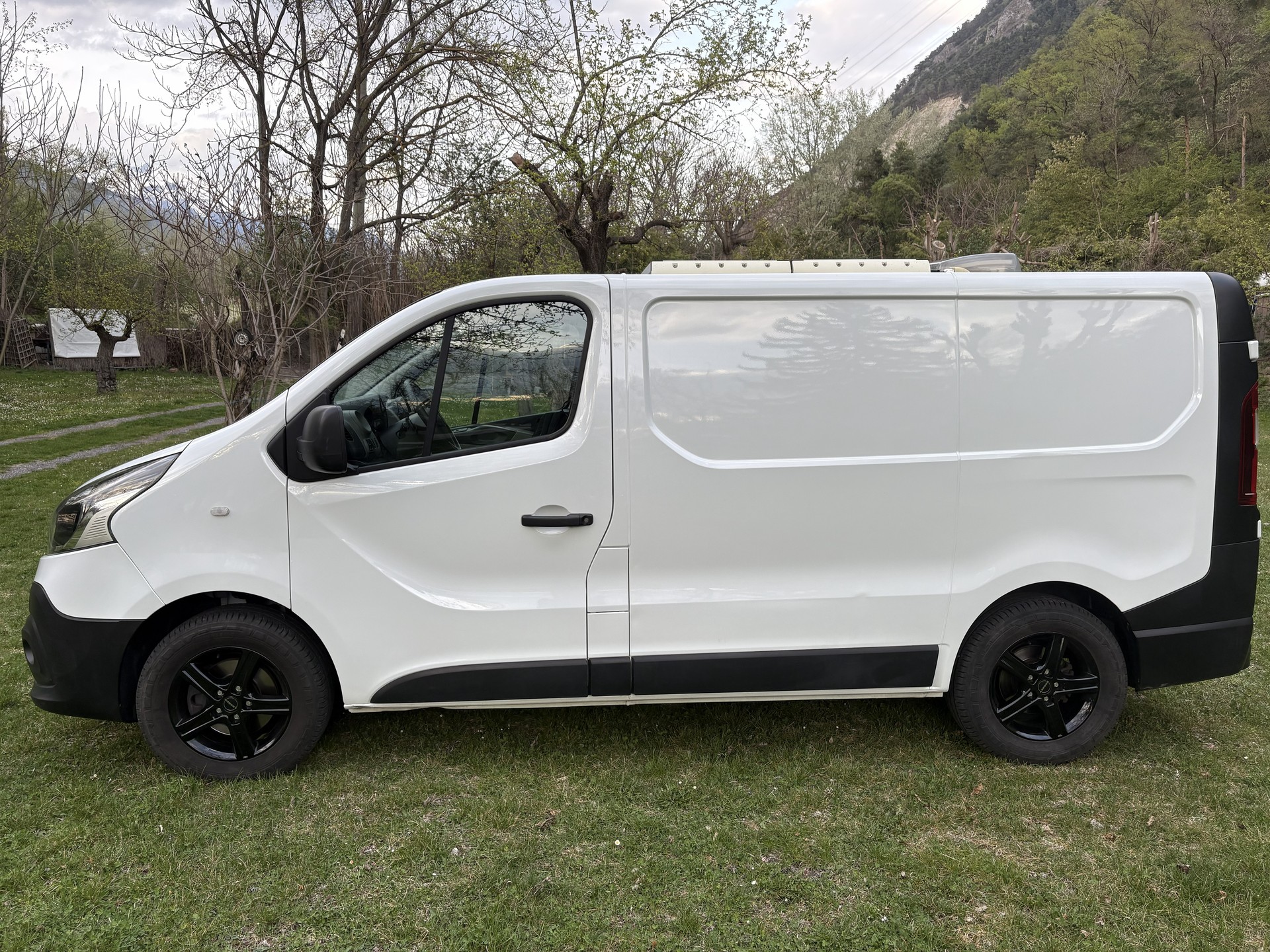 RENAULT TRAFIC-image-2
