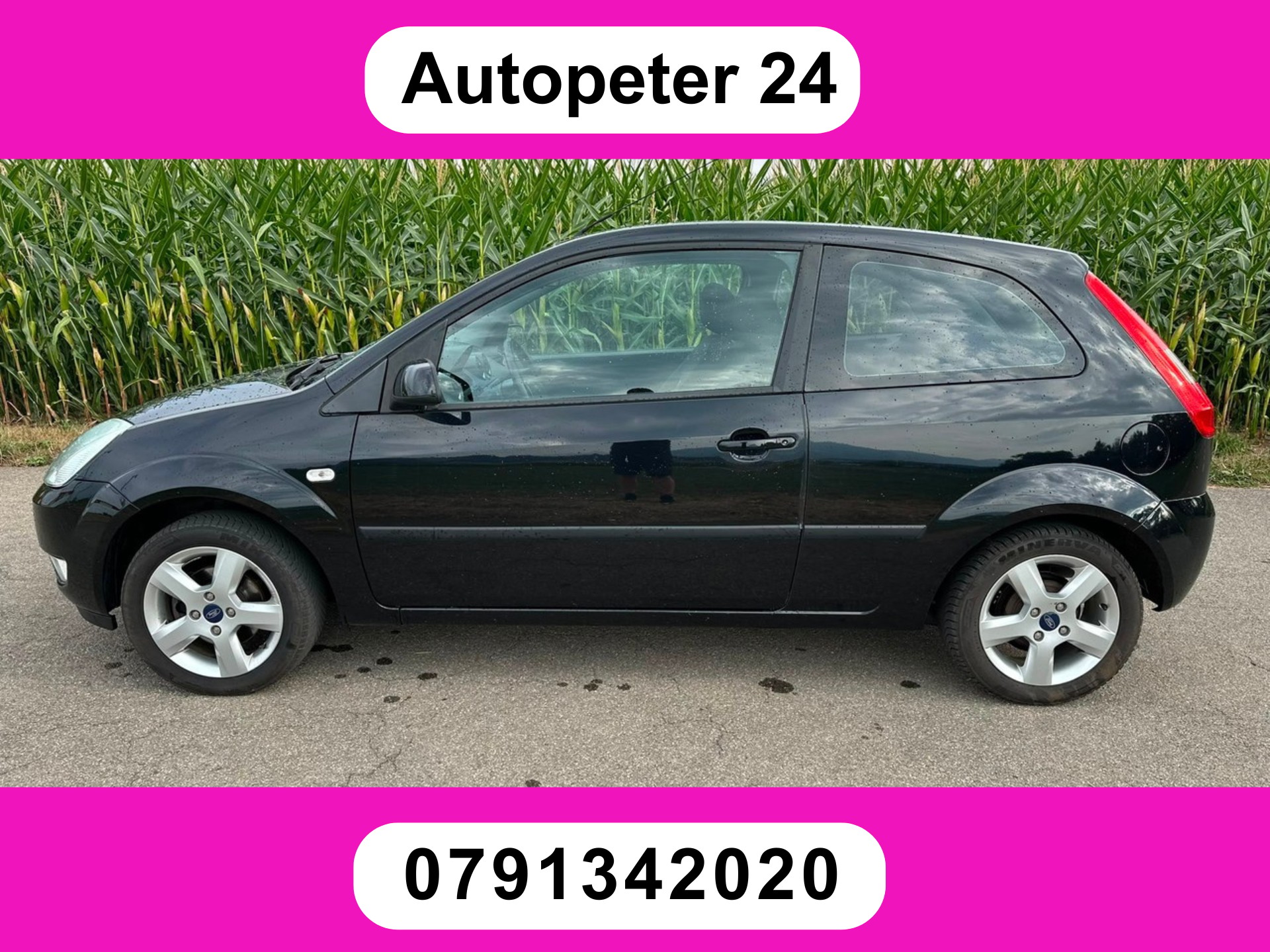 FORD Fiesta 1.25 16V Ambiente