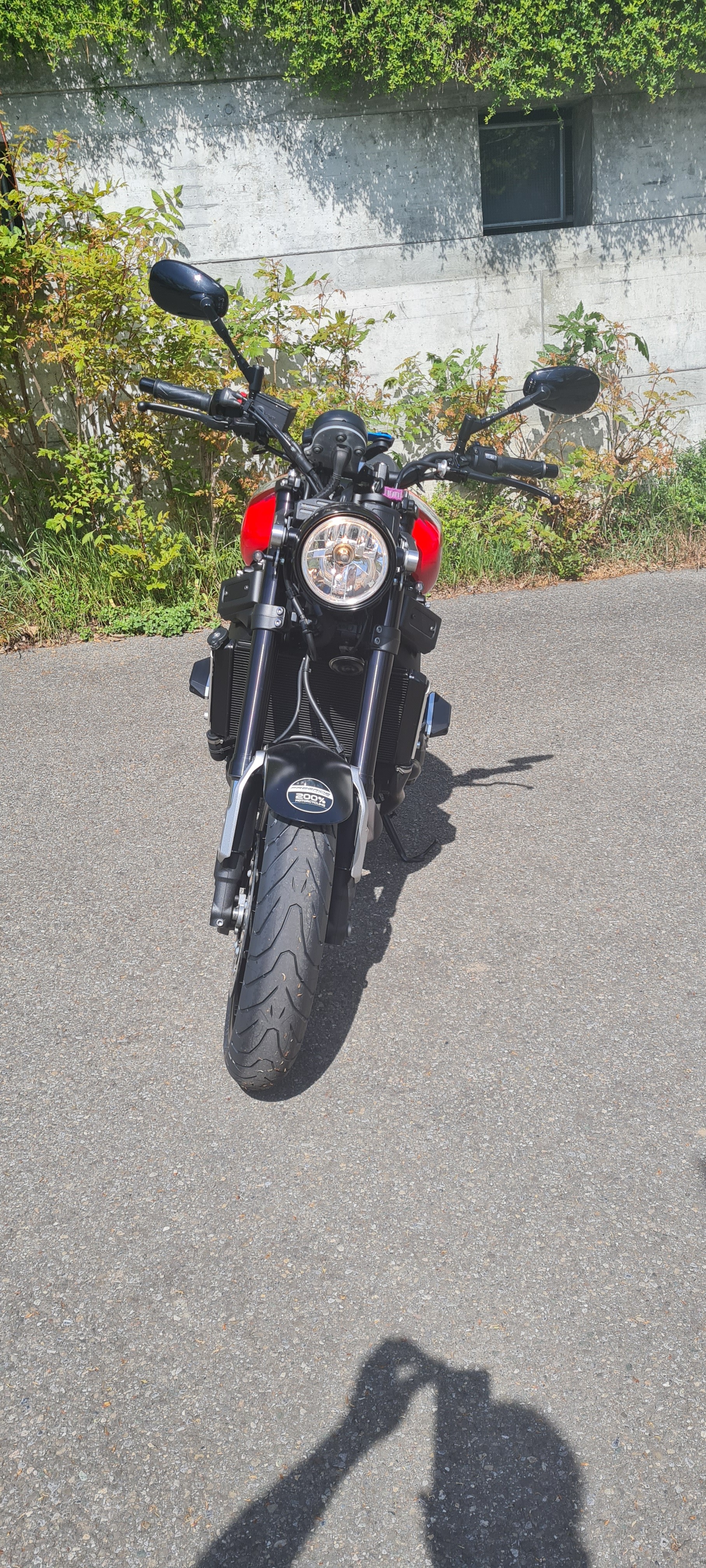 YAMAHA XSR 900-image-1