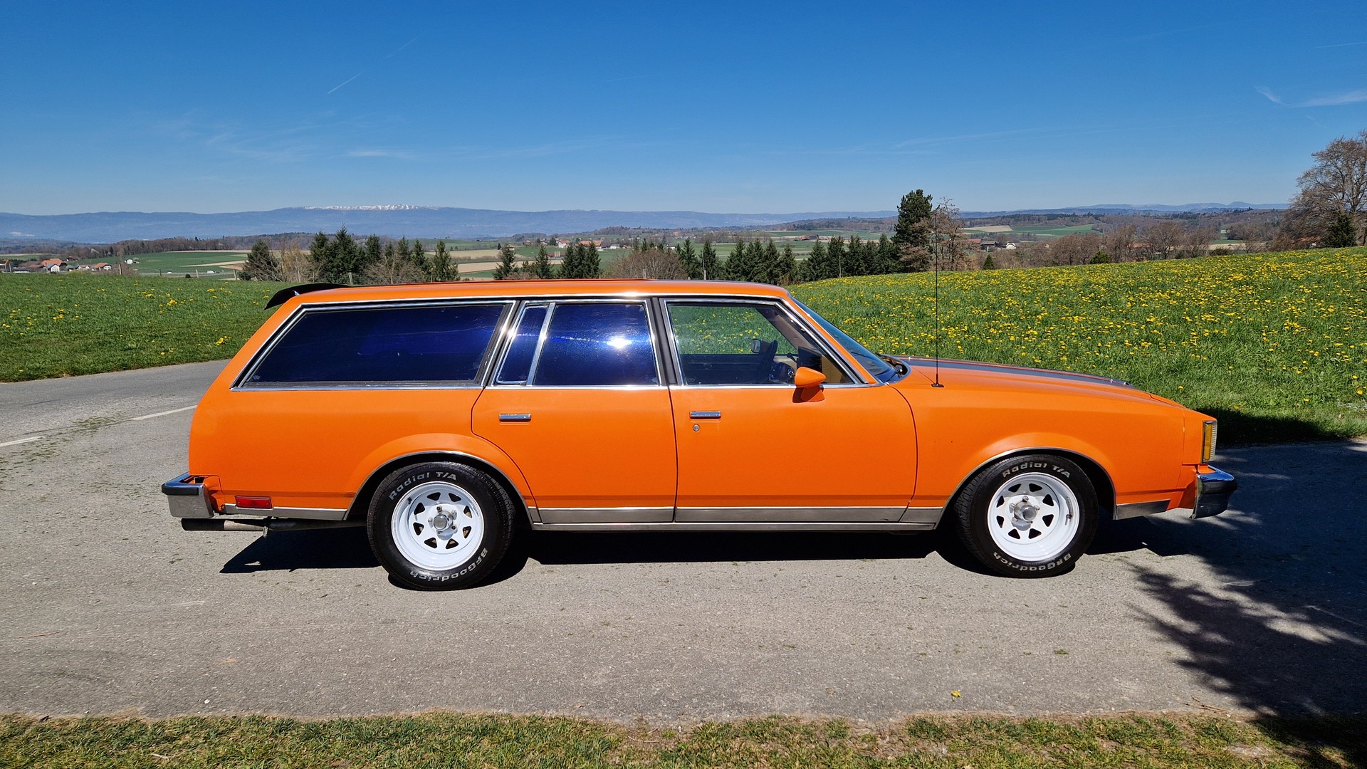 OLDSMOBILE CUTLASS-image-5