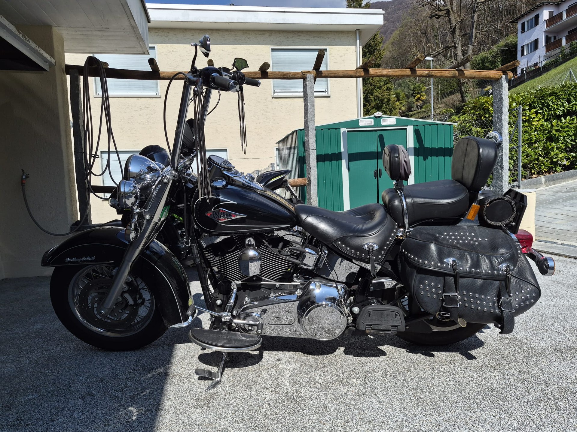 HARLEY-DAVIDSON FLSTCI Softail Classic-image-1