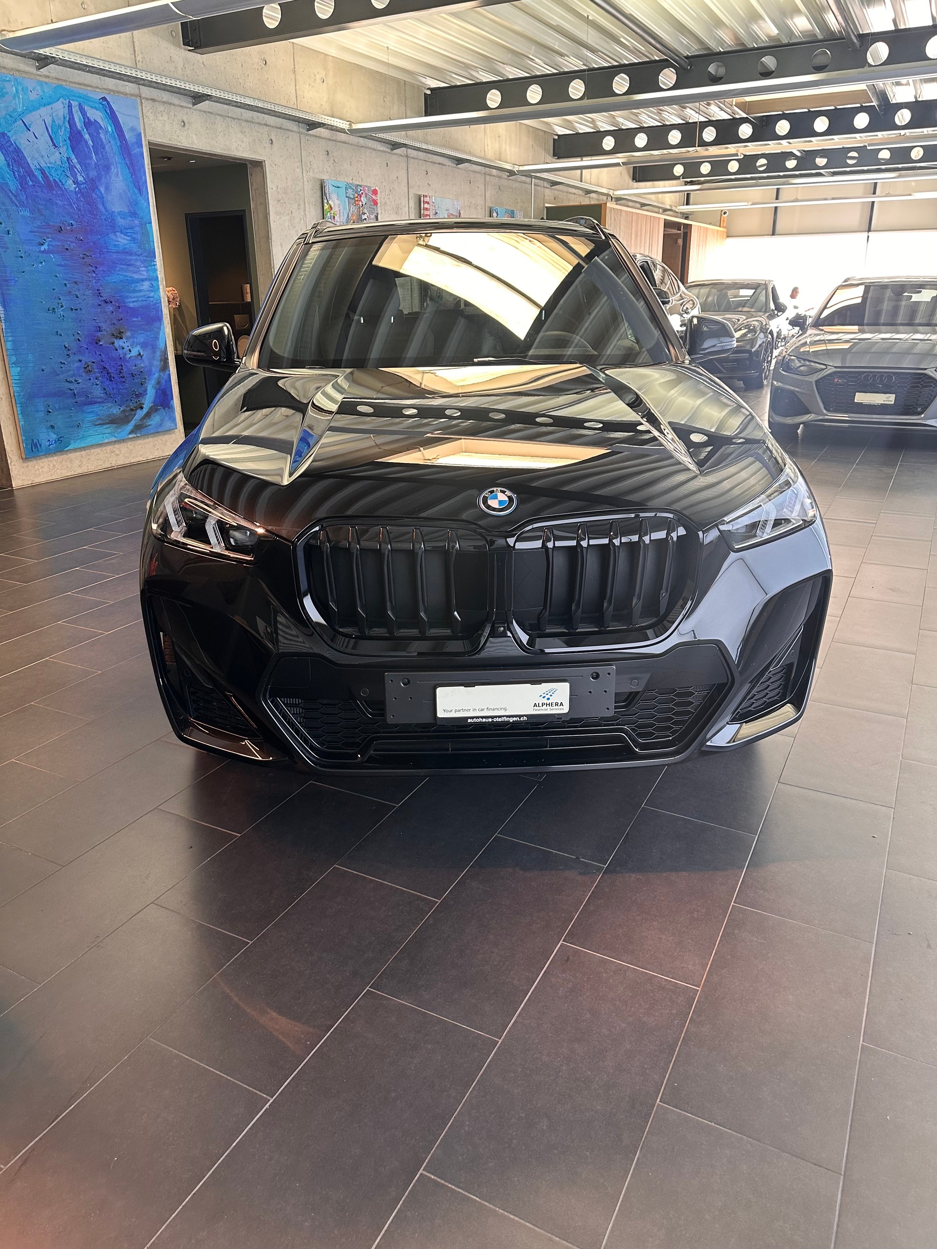 BMW X1 30e xDrive paddles-showroom-element-3