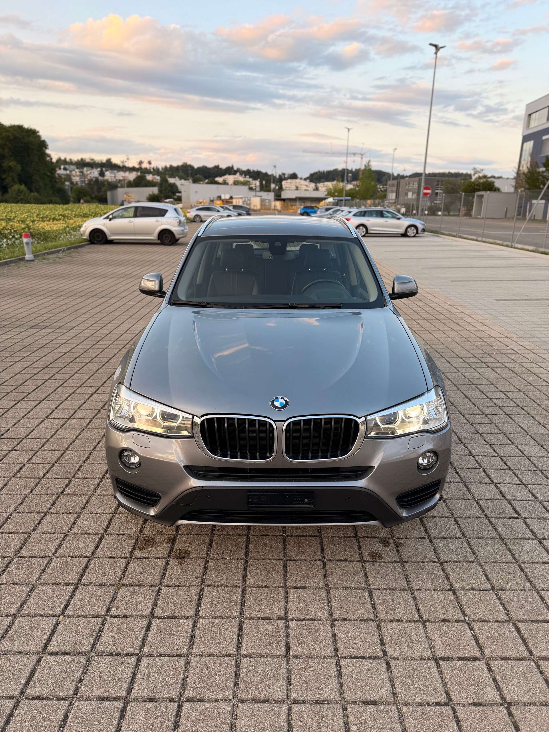 BMW X3 xDrive 20d xLine Steptronic-showroom-element-3