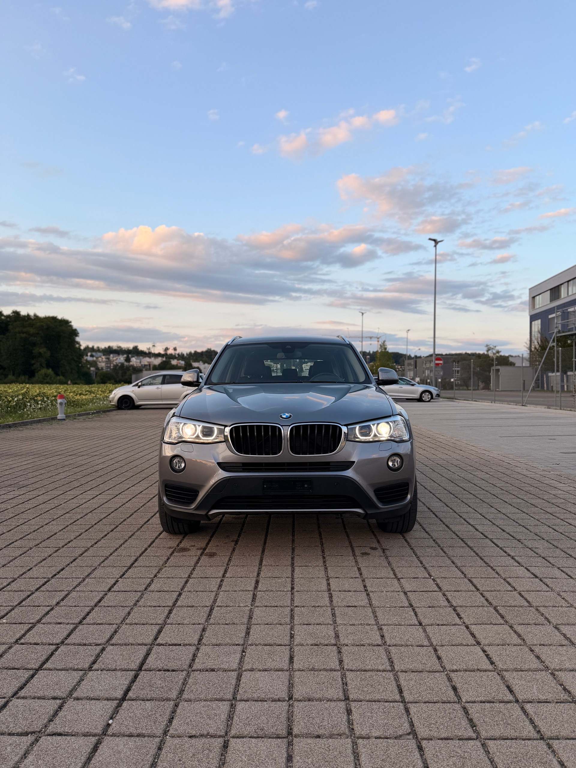 BMW X3 xDrive 20d xLine Steptronic-showroom-element-2