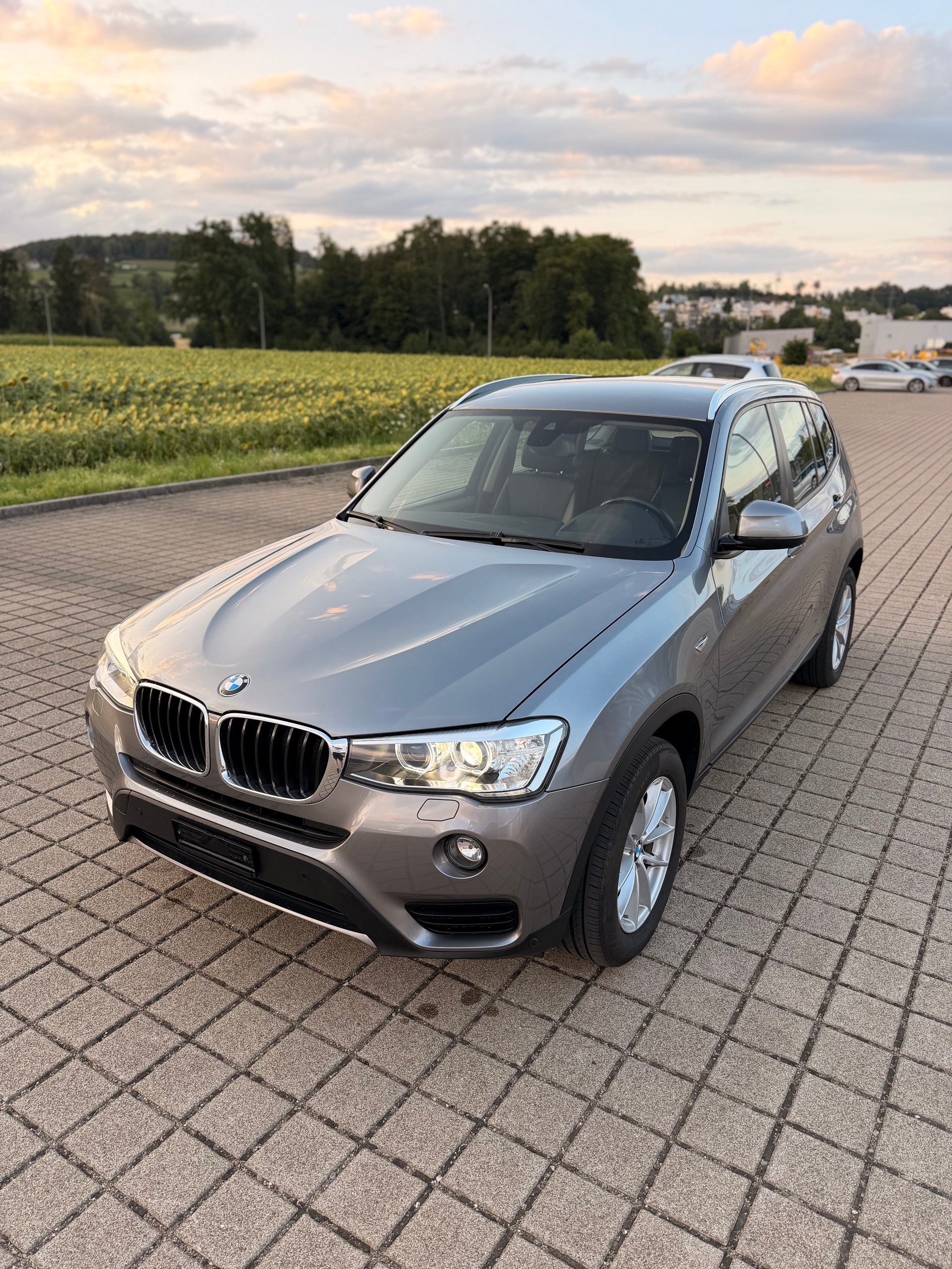 BMW X3 xDrive 20d xLine Steptronic-showroom-element-1