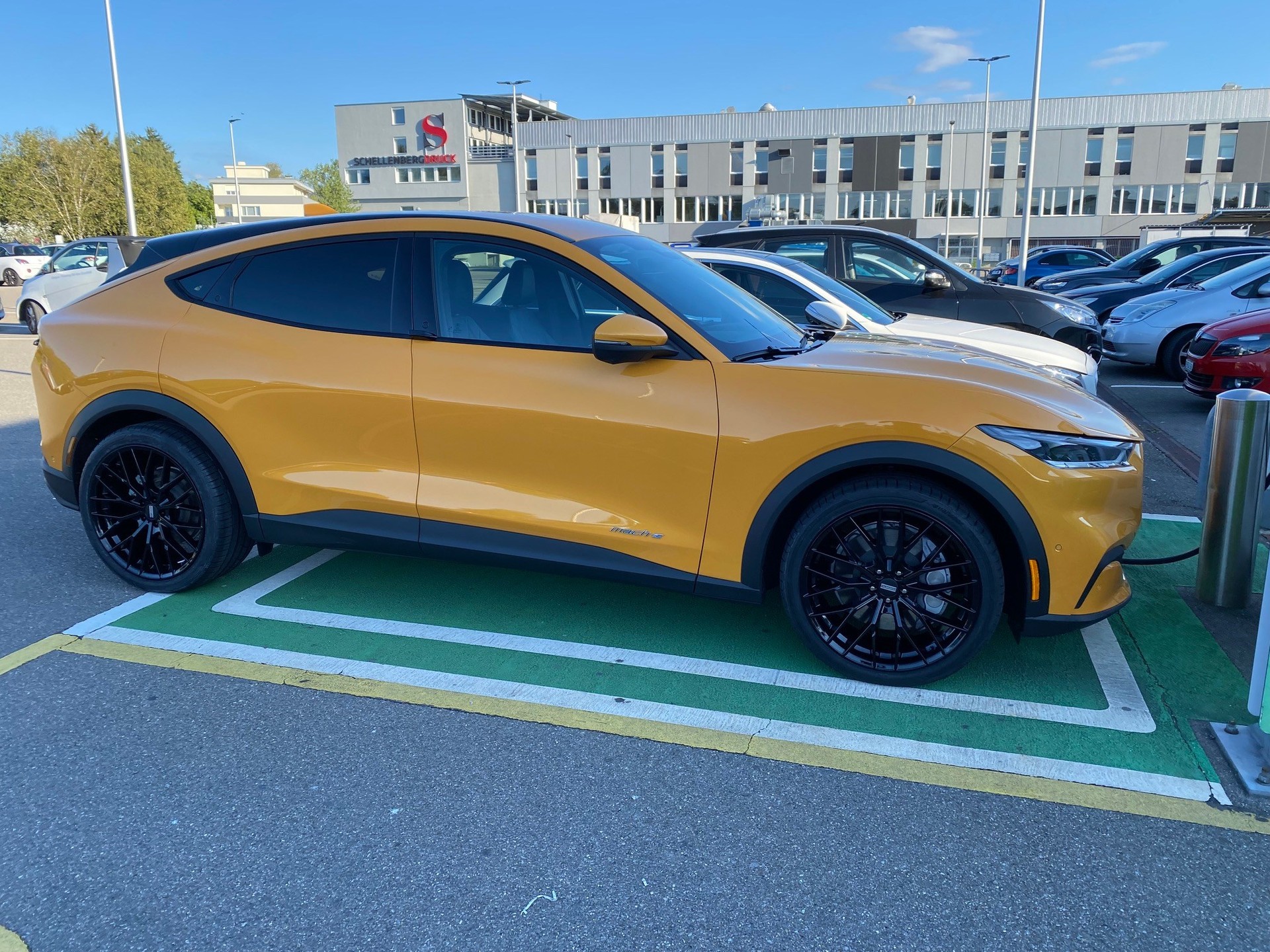 FORD Mustang MACH-E RWD 75 kWh-image-2