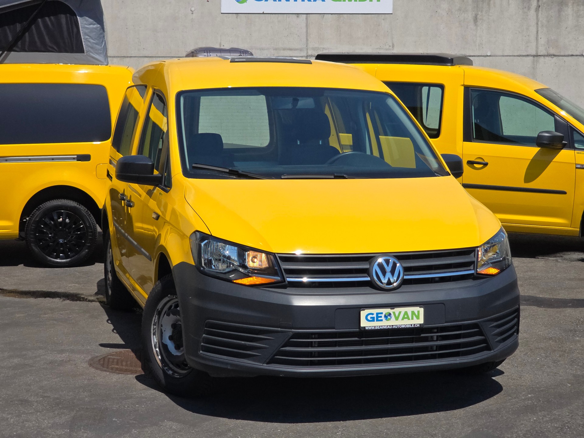VW VW GEOVAN M - 1.0 TSI 102PS - Benzin - Fensterbus-image-1