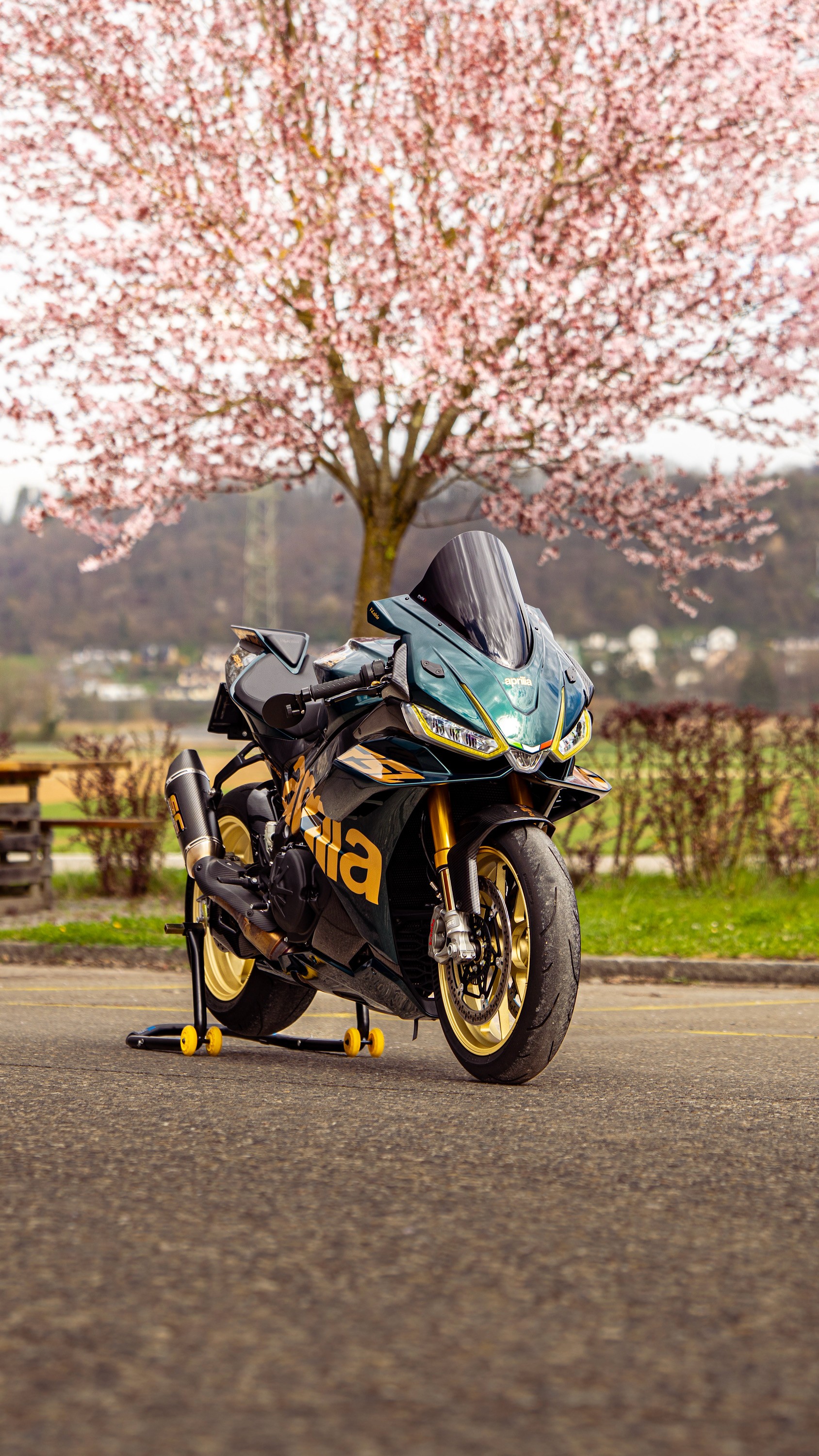 APRILIA RSV4 1100 Factory-image-8