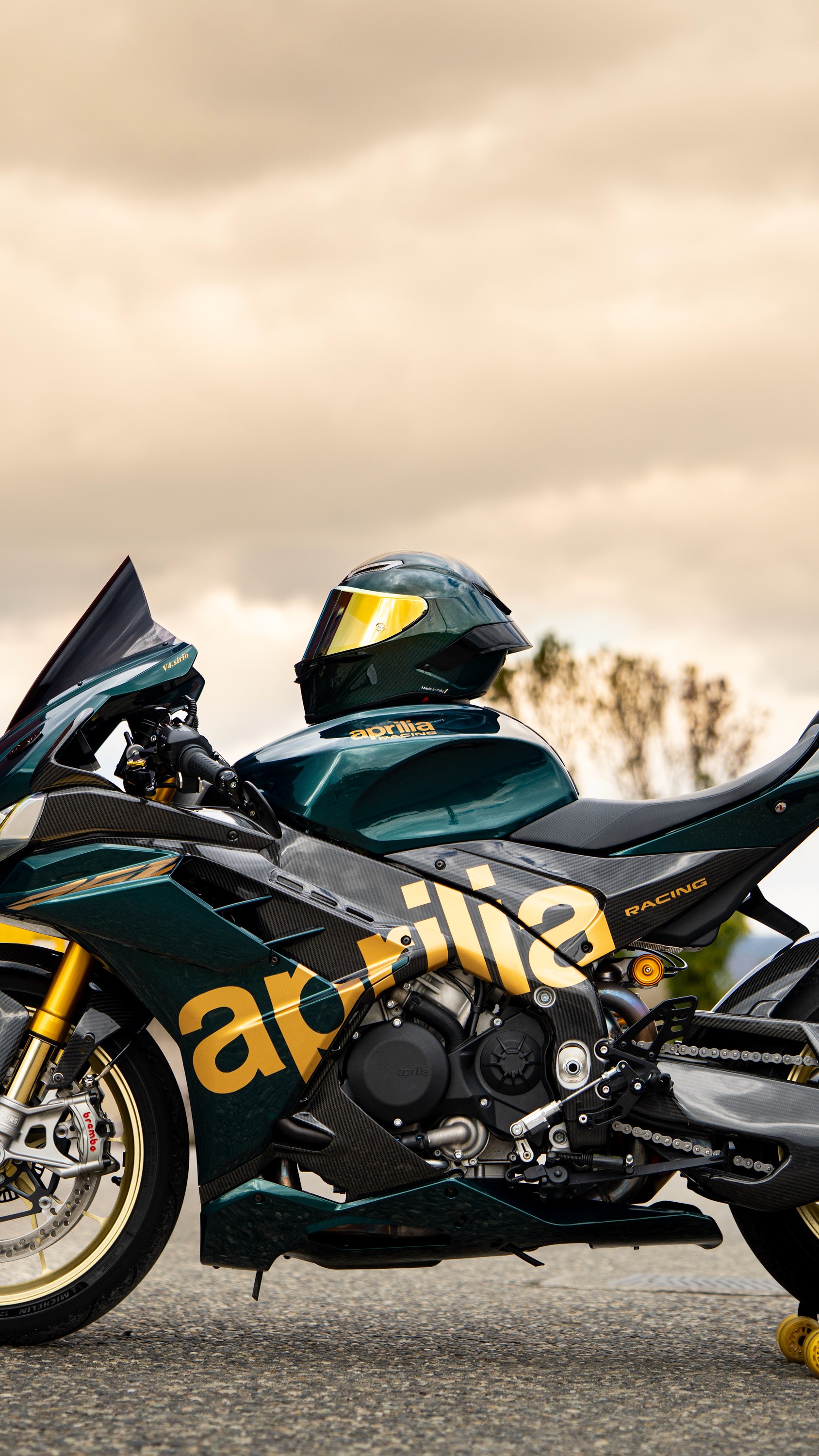 APRILIA RSV4 1100 Factory-image-5