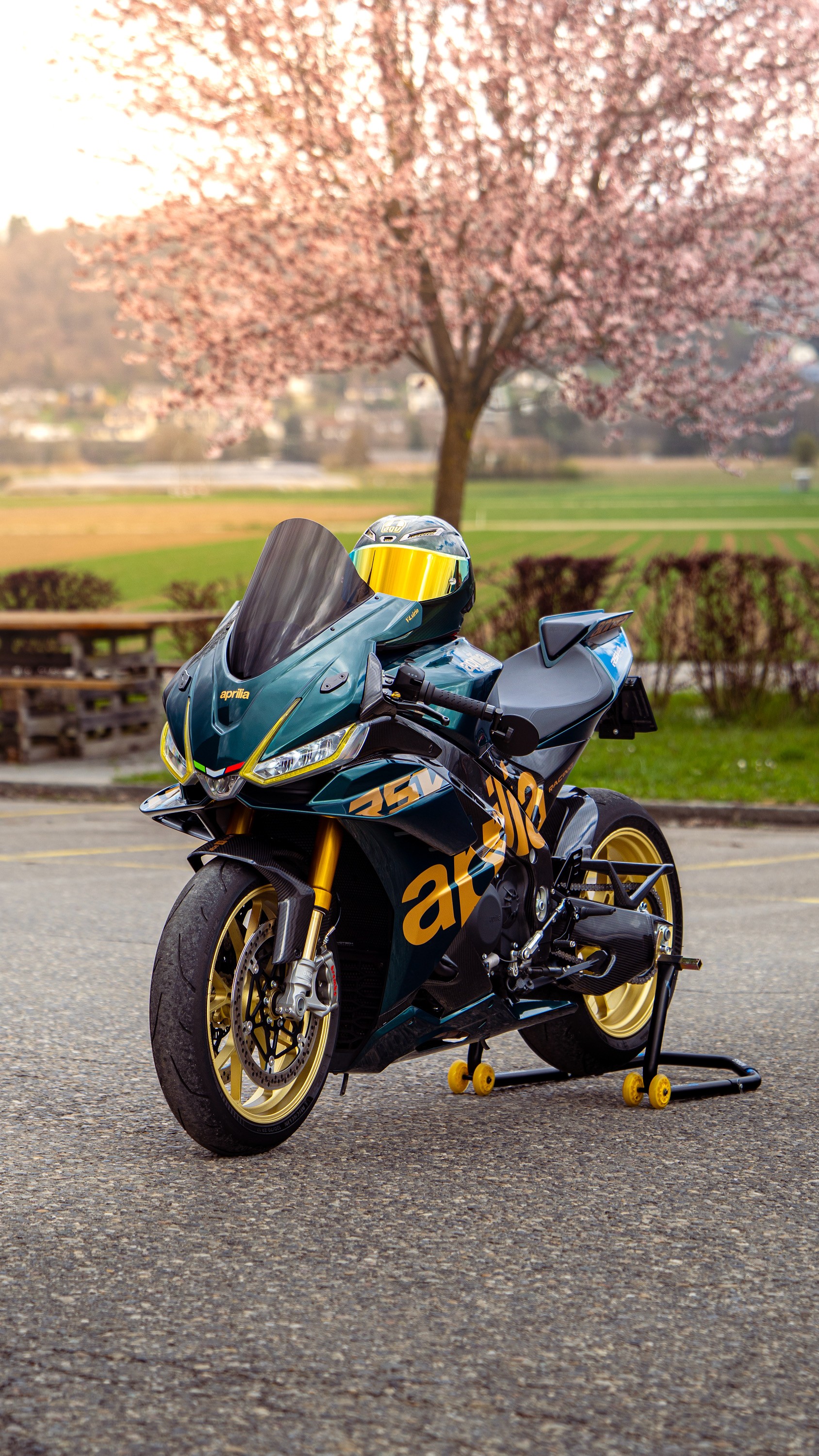 APRILIA RSV4 1100 Factory-image-4
