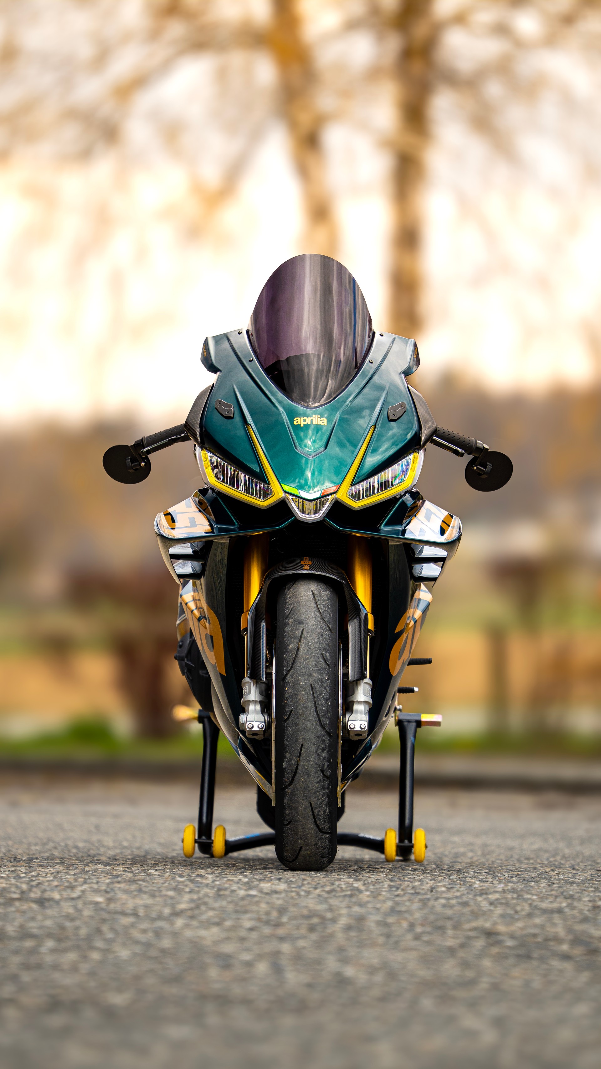 APRILIA RSV4 1100 Factory-image-1