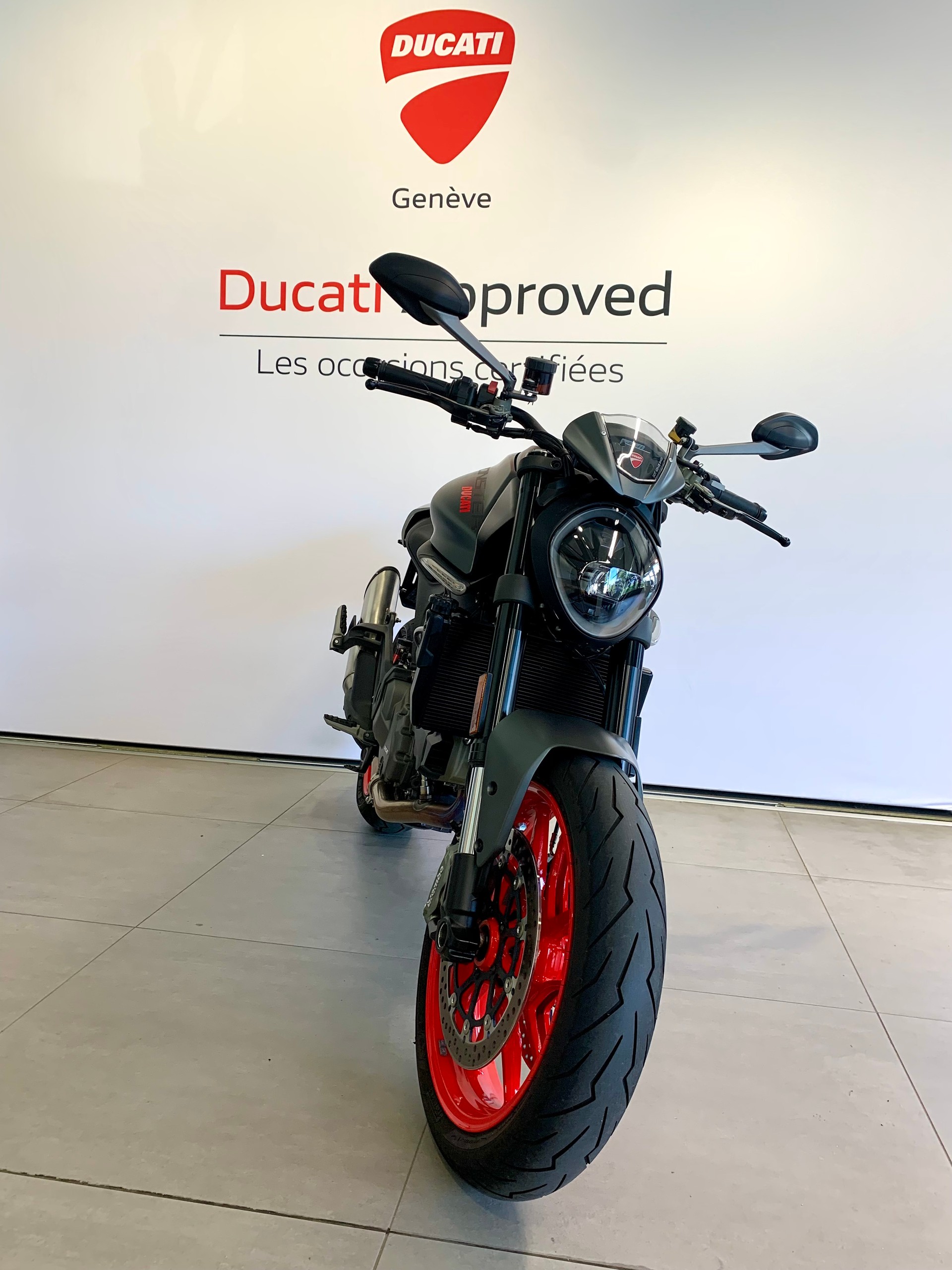 DUCATI Monster + 937-image-2