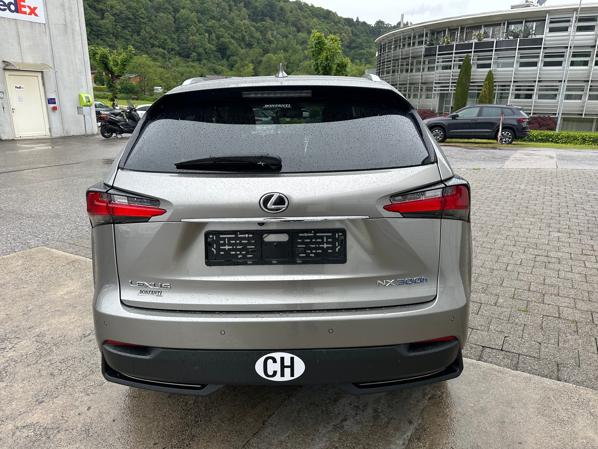 LEXUS NX 300h excellence E-Four Automatic-image-3