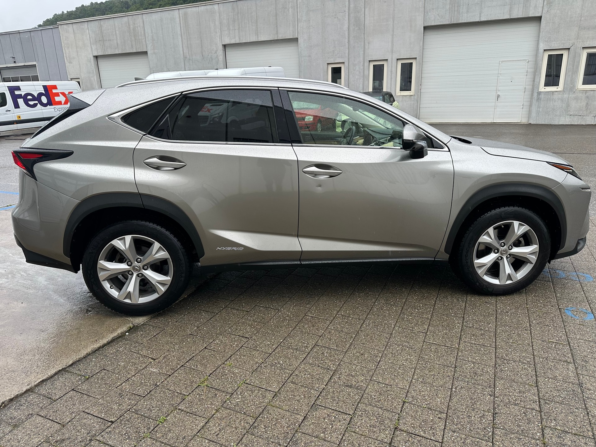 LEXUS NX 300h excellence E-Four Automatic-image-4