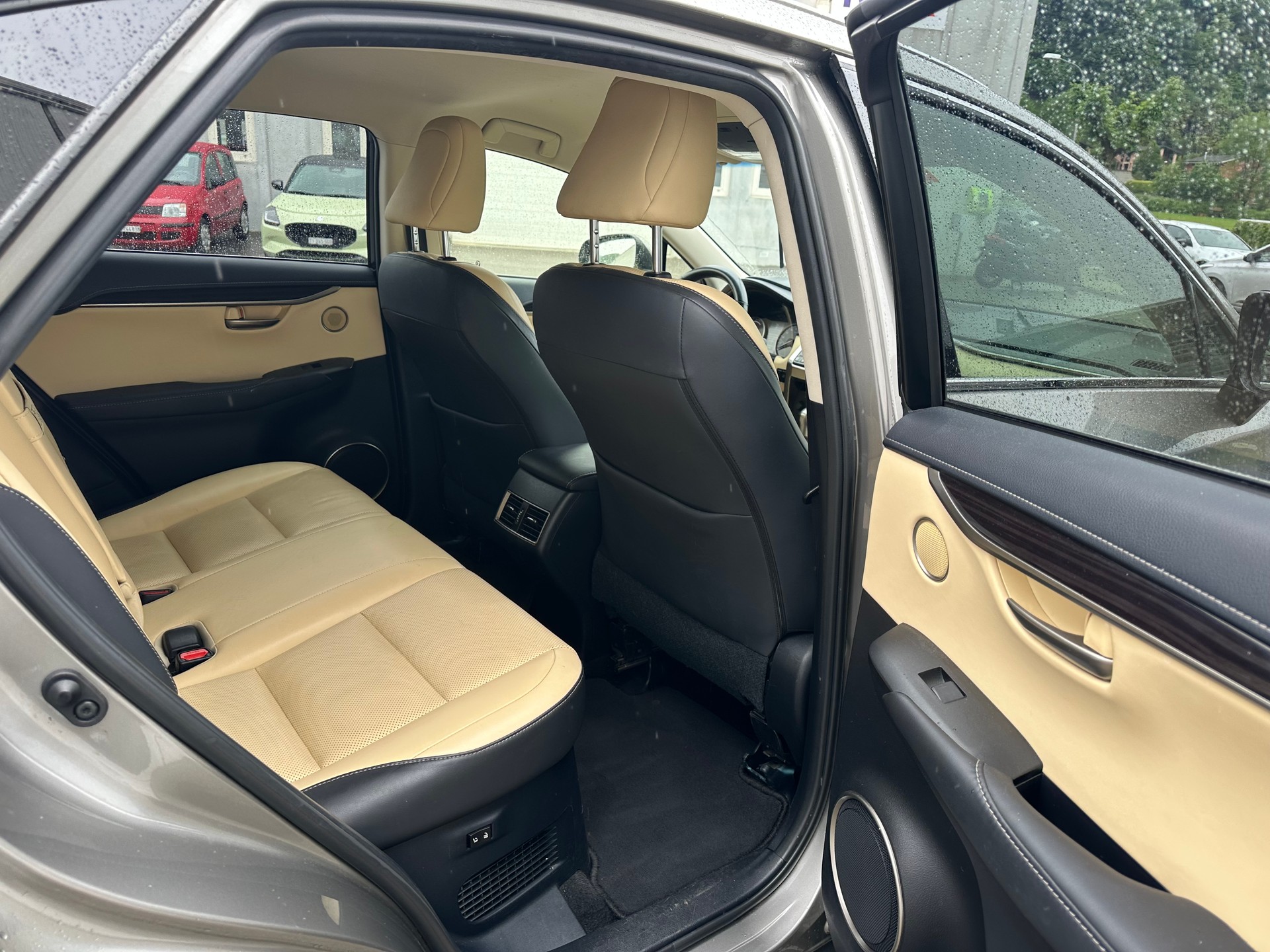 LEXUS NX 300h excellence E-Four Automatic-image-9