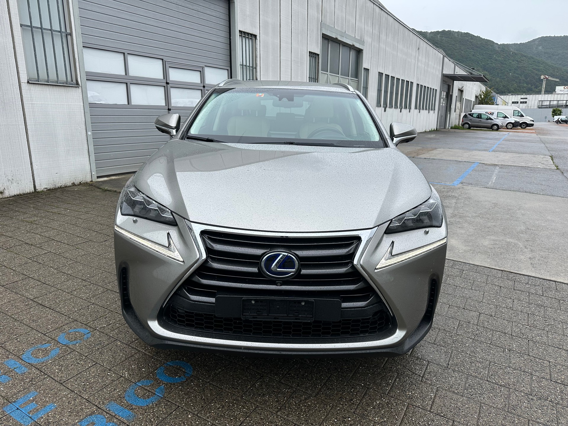 LEXUS NX 300h excellence E-Four Automatic