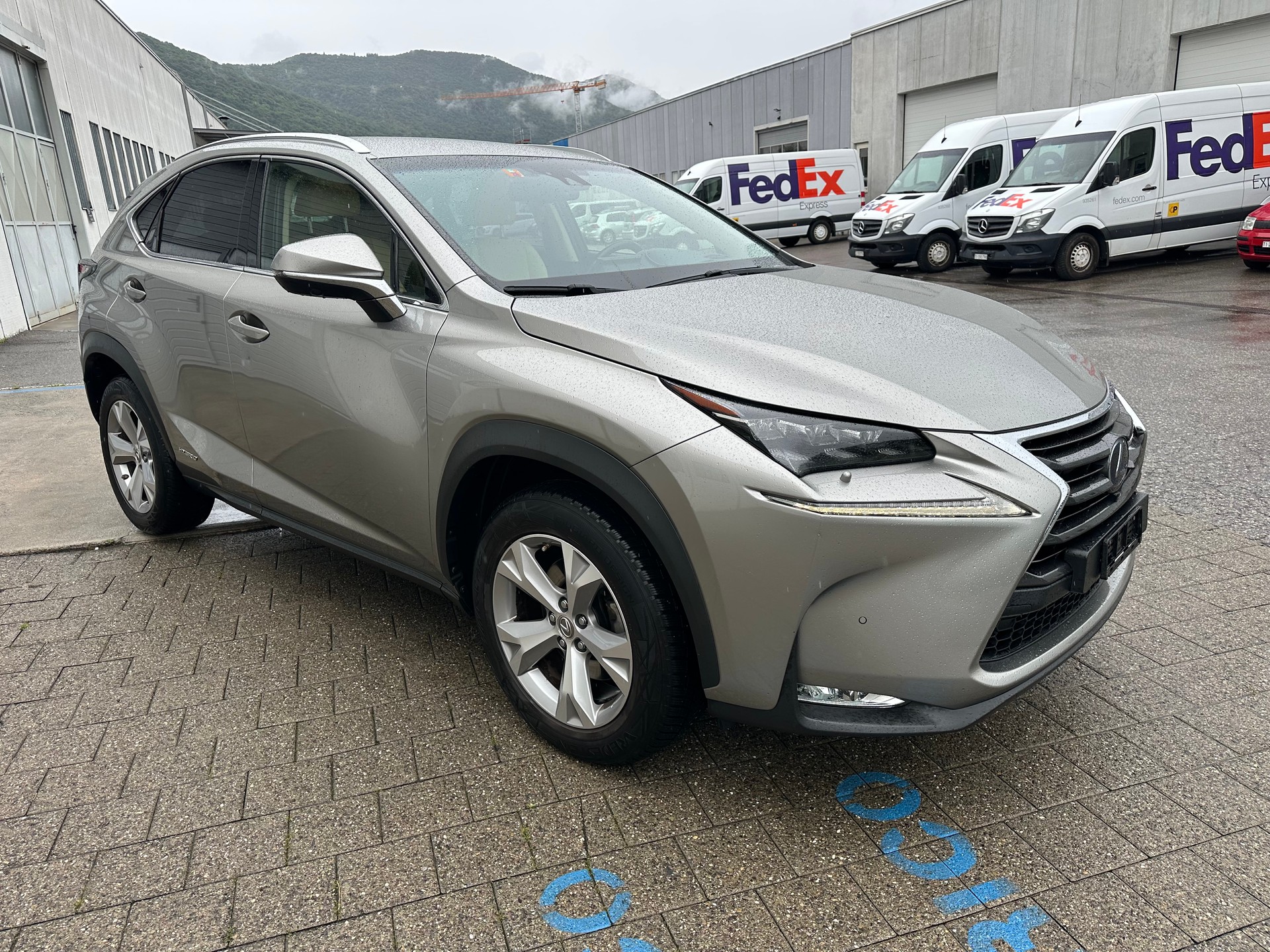 LEXUS NX 300h excellence E-Four Automatic-image-2
