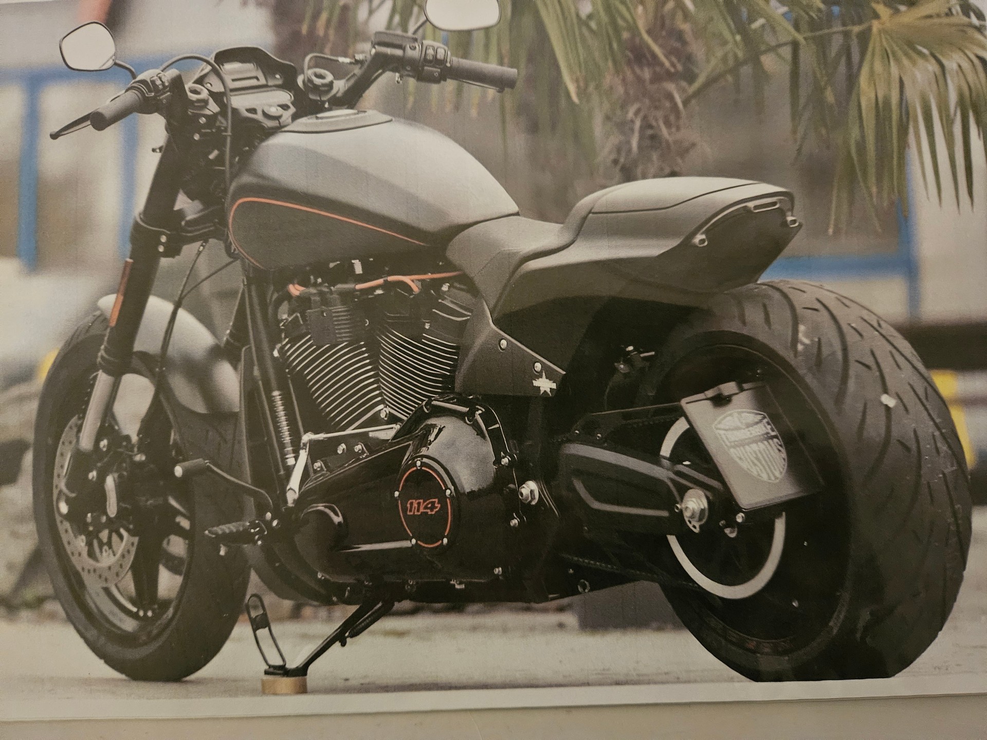 HARLEY-DAVIDSON FXDRS 114 ABS-image-7