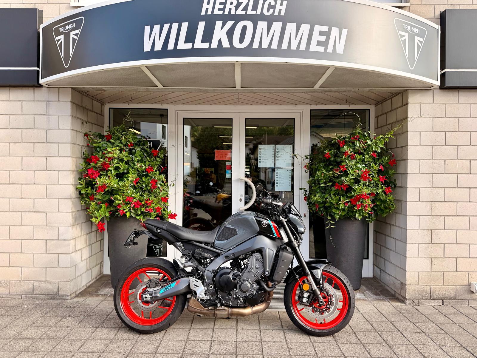 YAMAHA MT-09-image-0