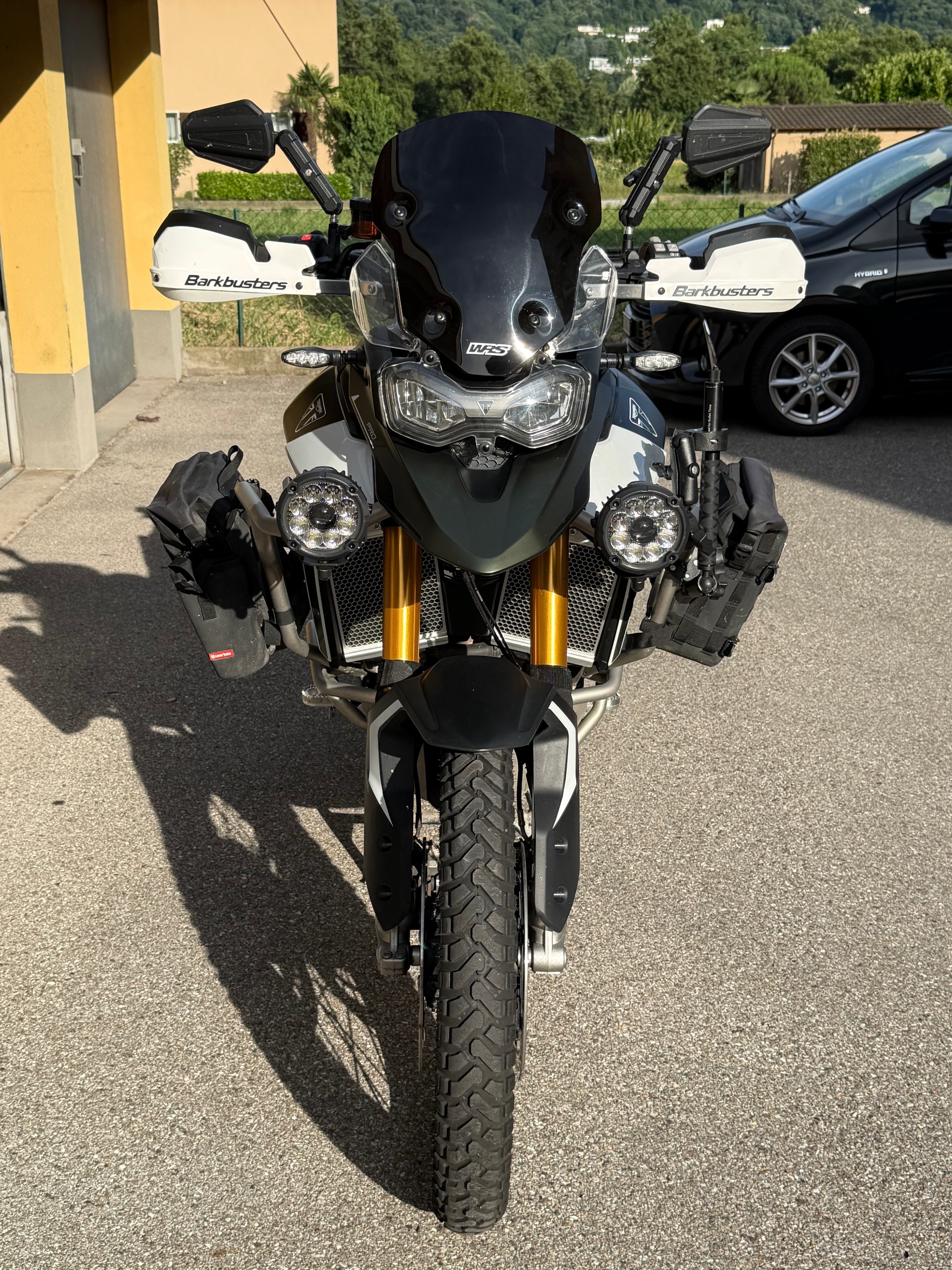 TRIUMPH Tiger 900 Rally Pro-image-2