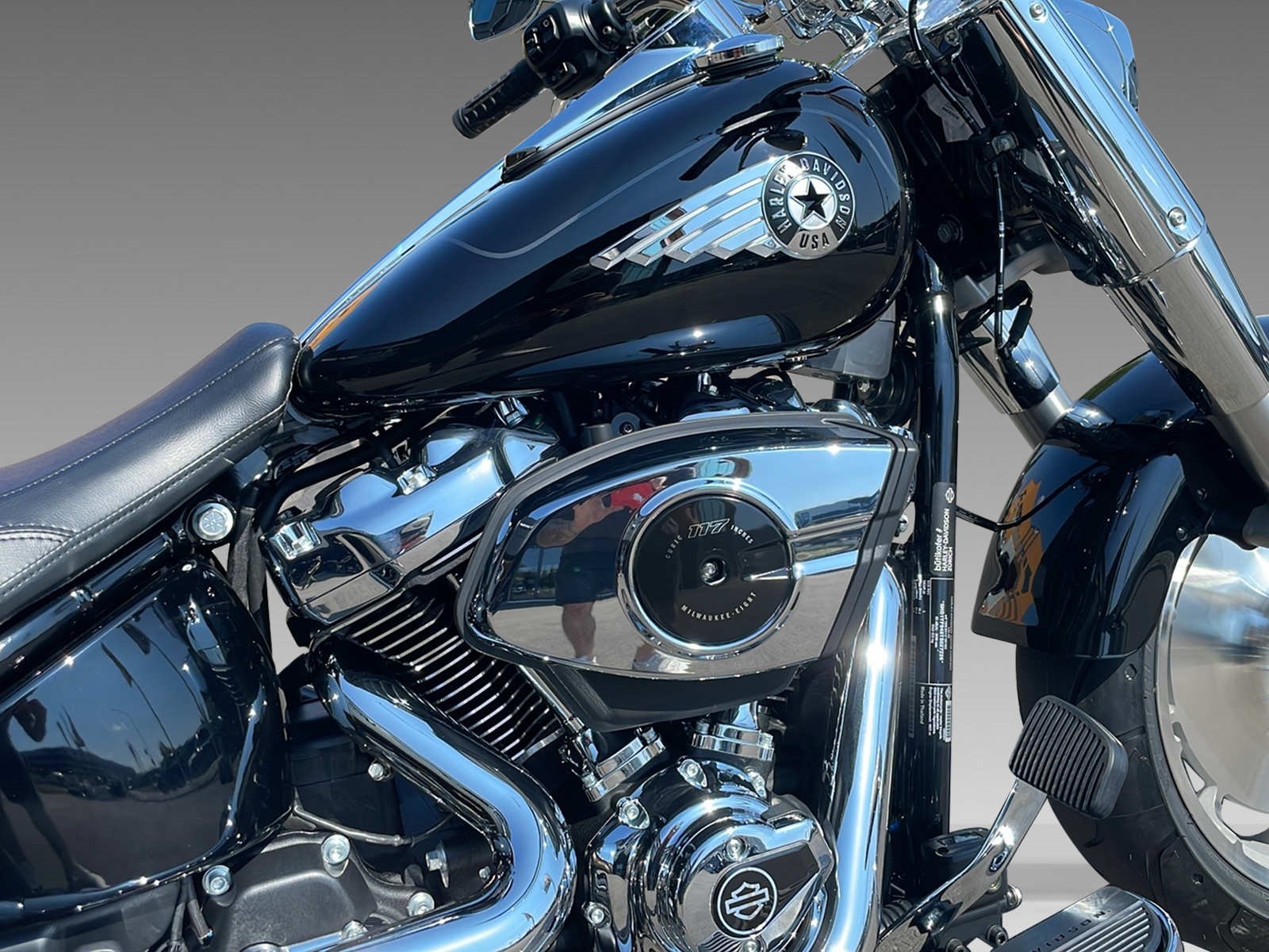 HARLEY-DAVIDSON FLFB Fat Boy 117ci-image-8