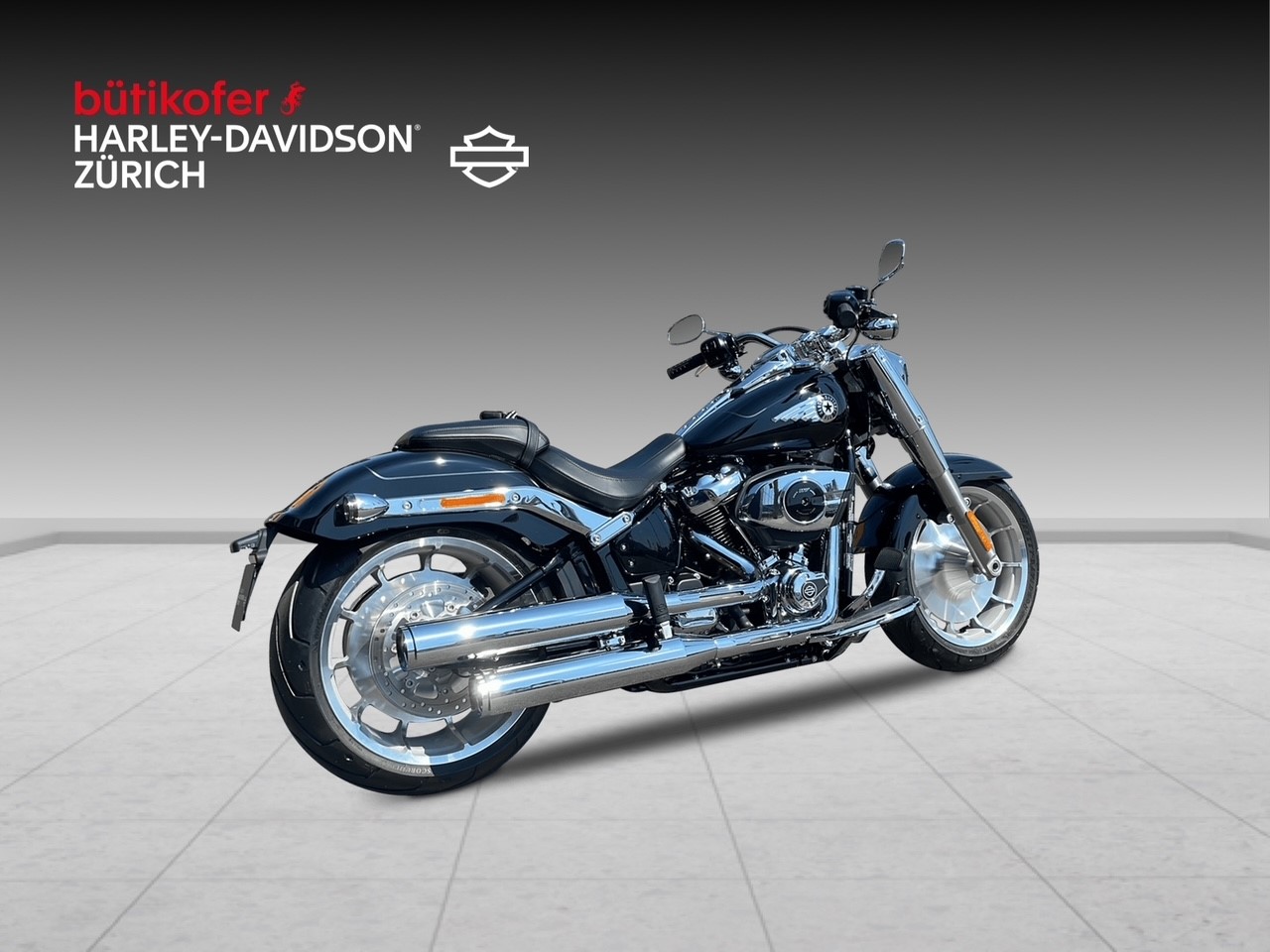 HARLEY-DAVIDSON FLFB Fat Boy 117ci-image-5