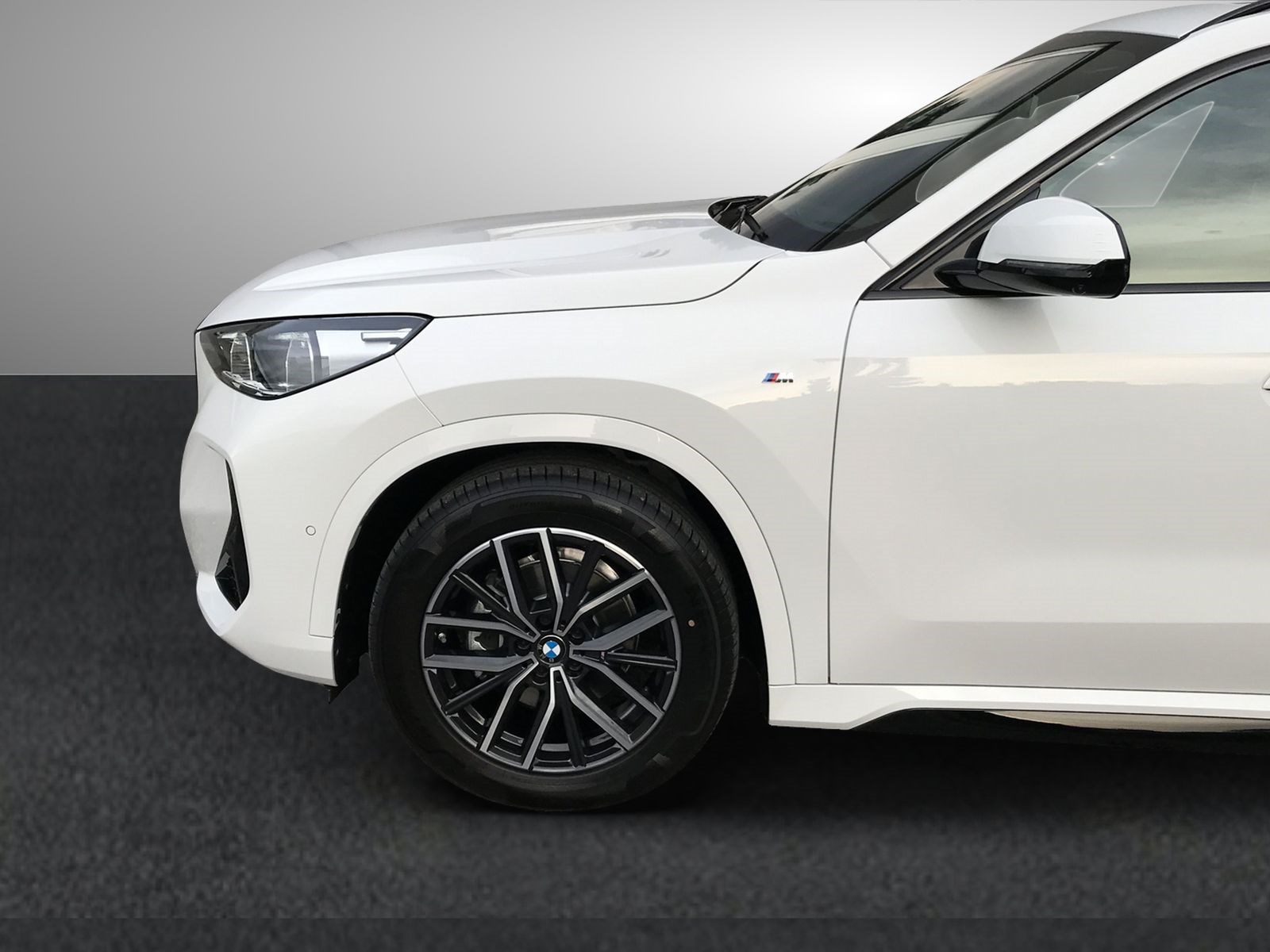 BMW X1 xDrive 20d 48V M Sport-image-4