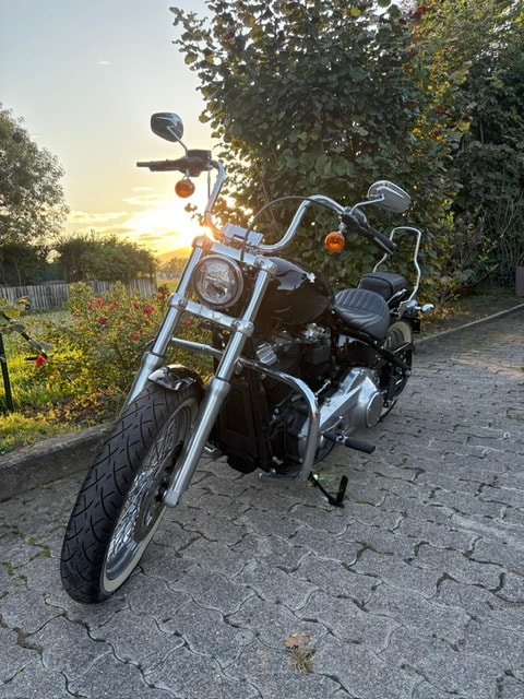 HARLEY-DAVIDSON FXST Softail Standard 107-image-5