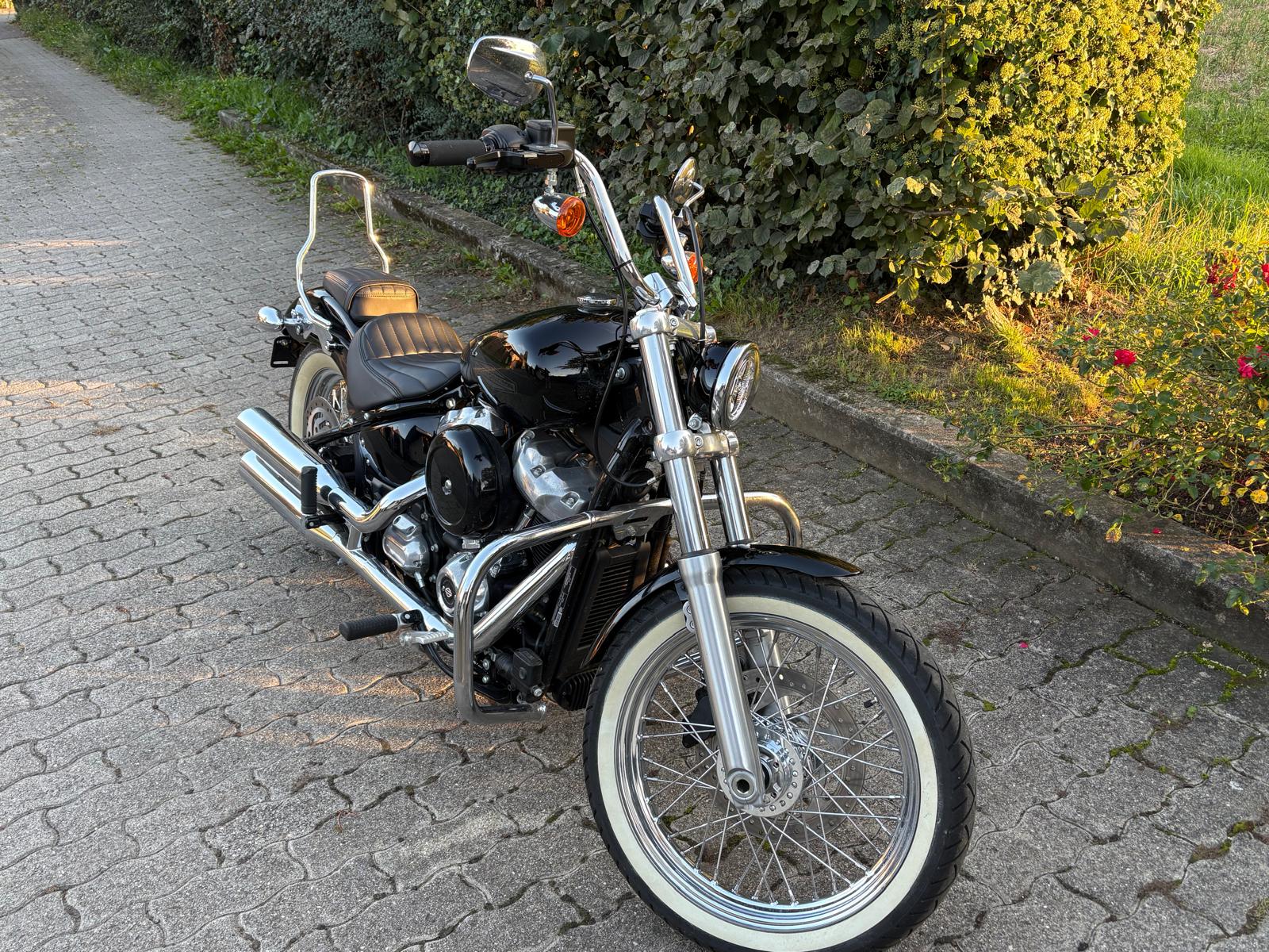 HARLEY-DAVIDSON FXST Softail Standard 107-image-8