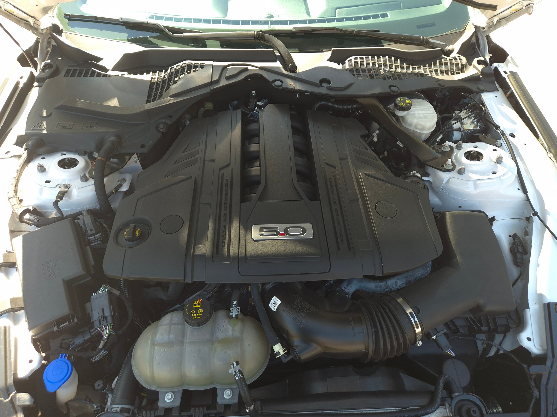 FORD Mustang Fastback 5.0 V8 GT Automat-image-28