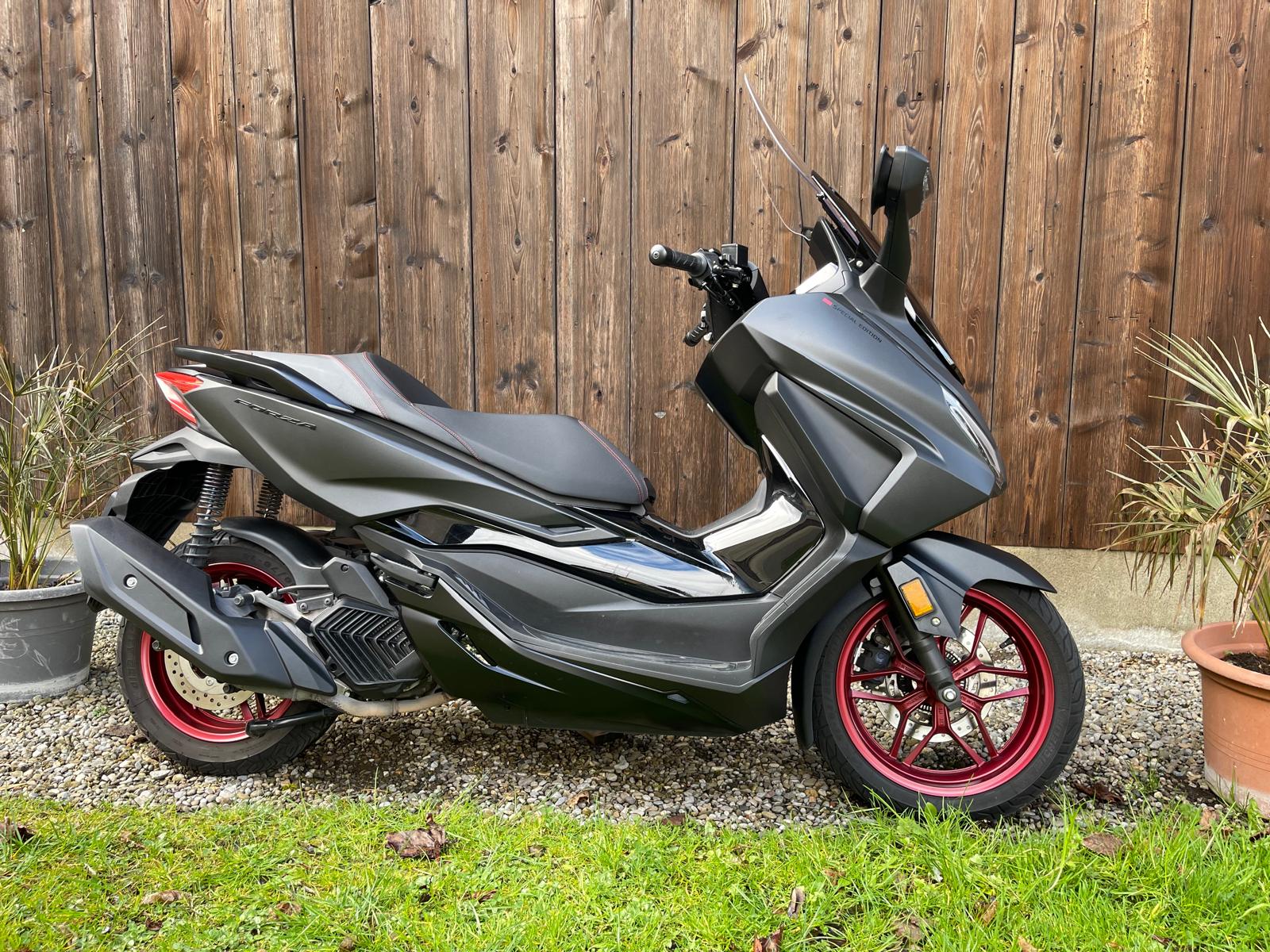 HONDA Nss 125 Forza Special Edition-image-14