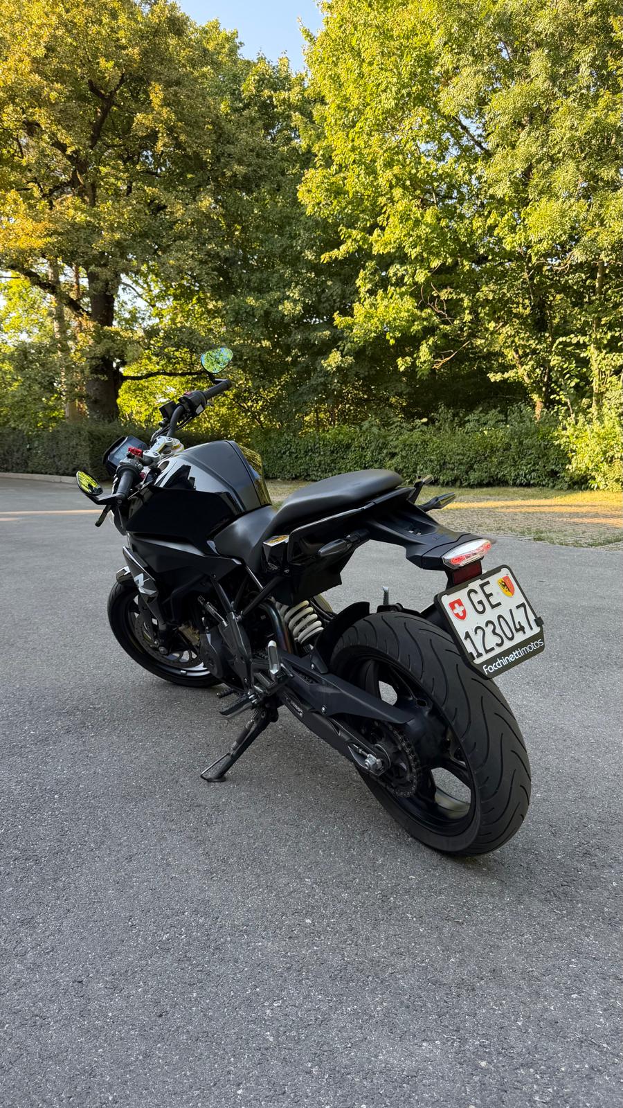 BMW G 310 R-image-1