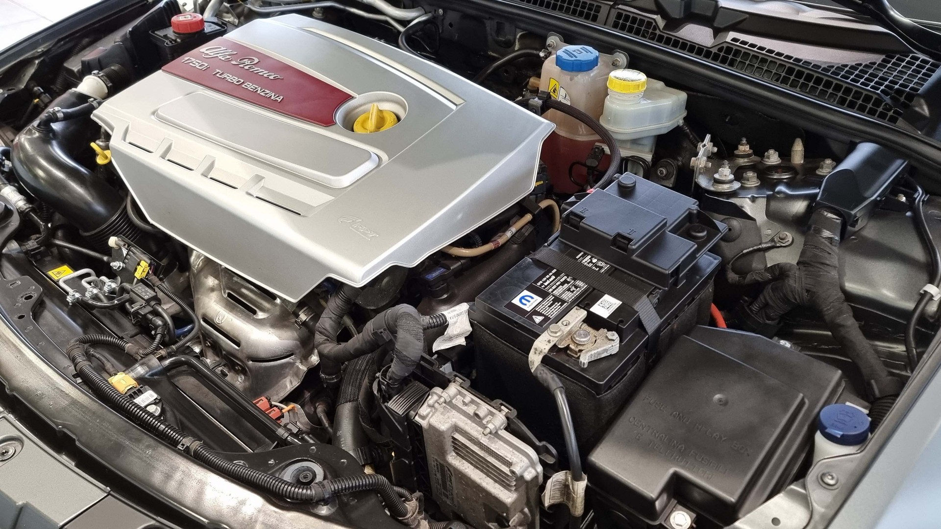 ALFA ROMEO Spider 1.8 TBi 16V Italia Indipendent-image-24