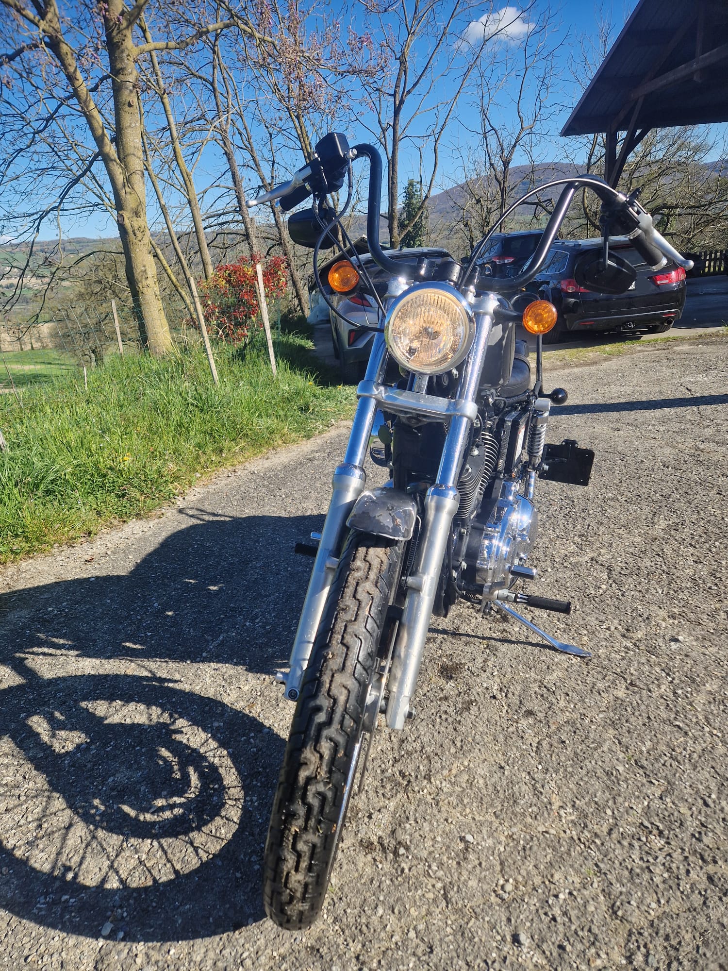 HARLEY-DAVIDSON XL 1200 C Sportster-image-7