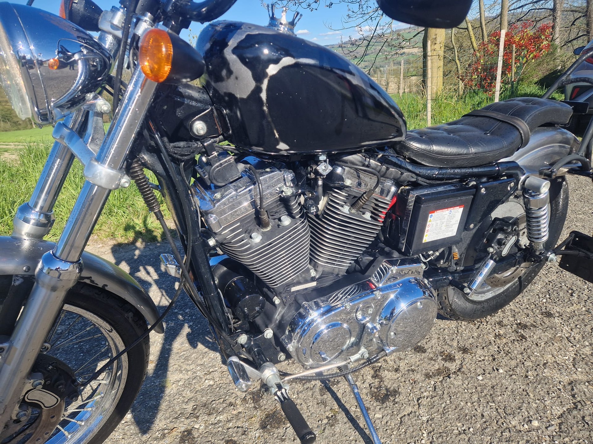 HARLEY-DAVIDSON XL 1200 C Sportster-image-6
