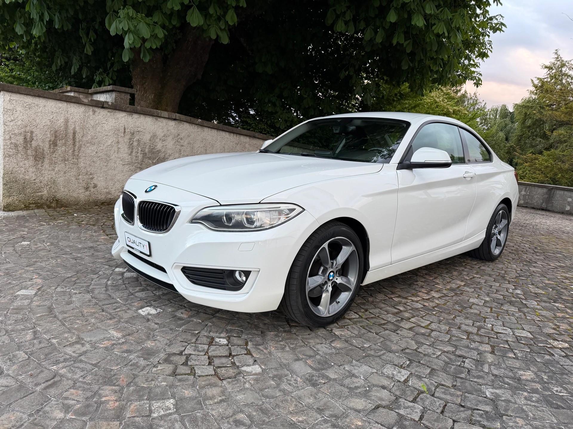 BMW 220iCoupé Steptronic / 1 Hand / CH-Fahrzeug / Frisch ab MFK / Service gepflegt / Navi / Xenon / DAB