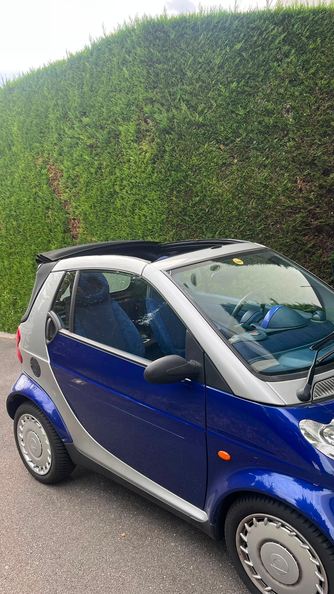 SMART 600 54 Pulse