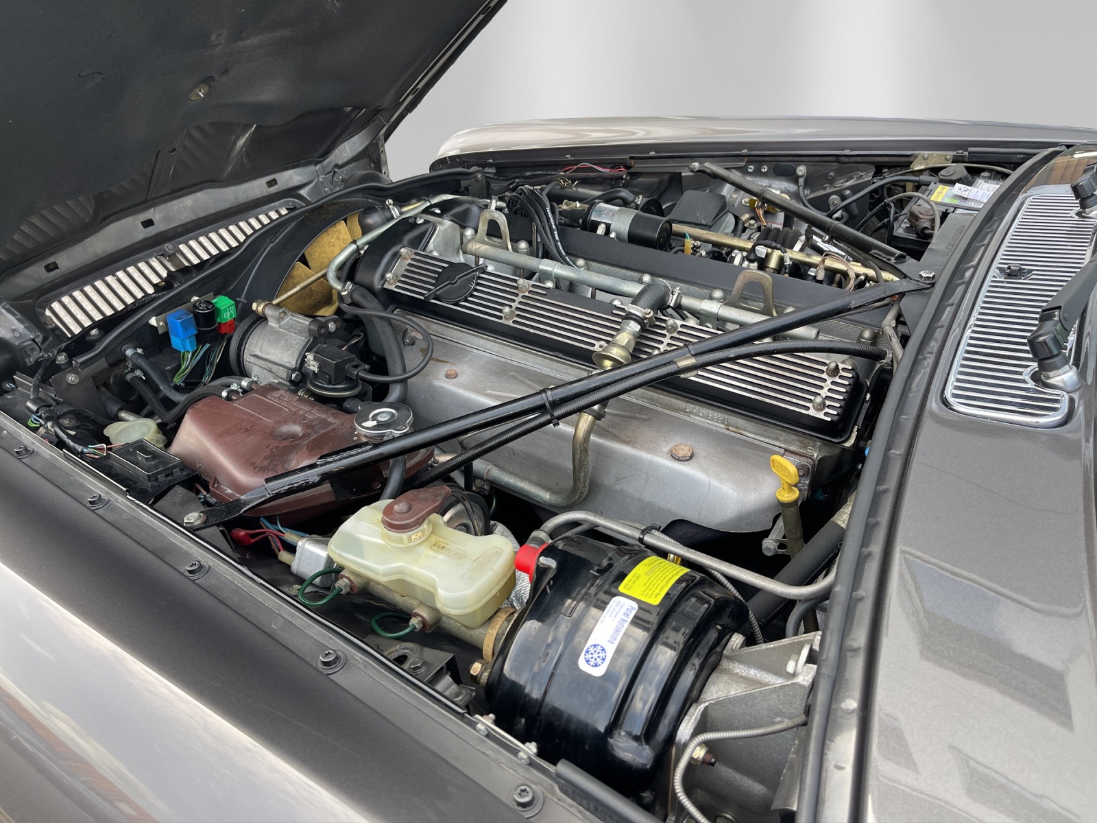 JAGUAR XJ6 4.2 Sovereign-image-13