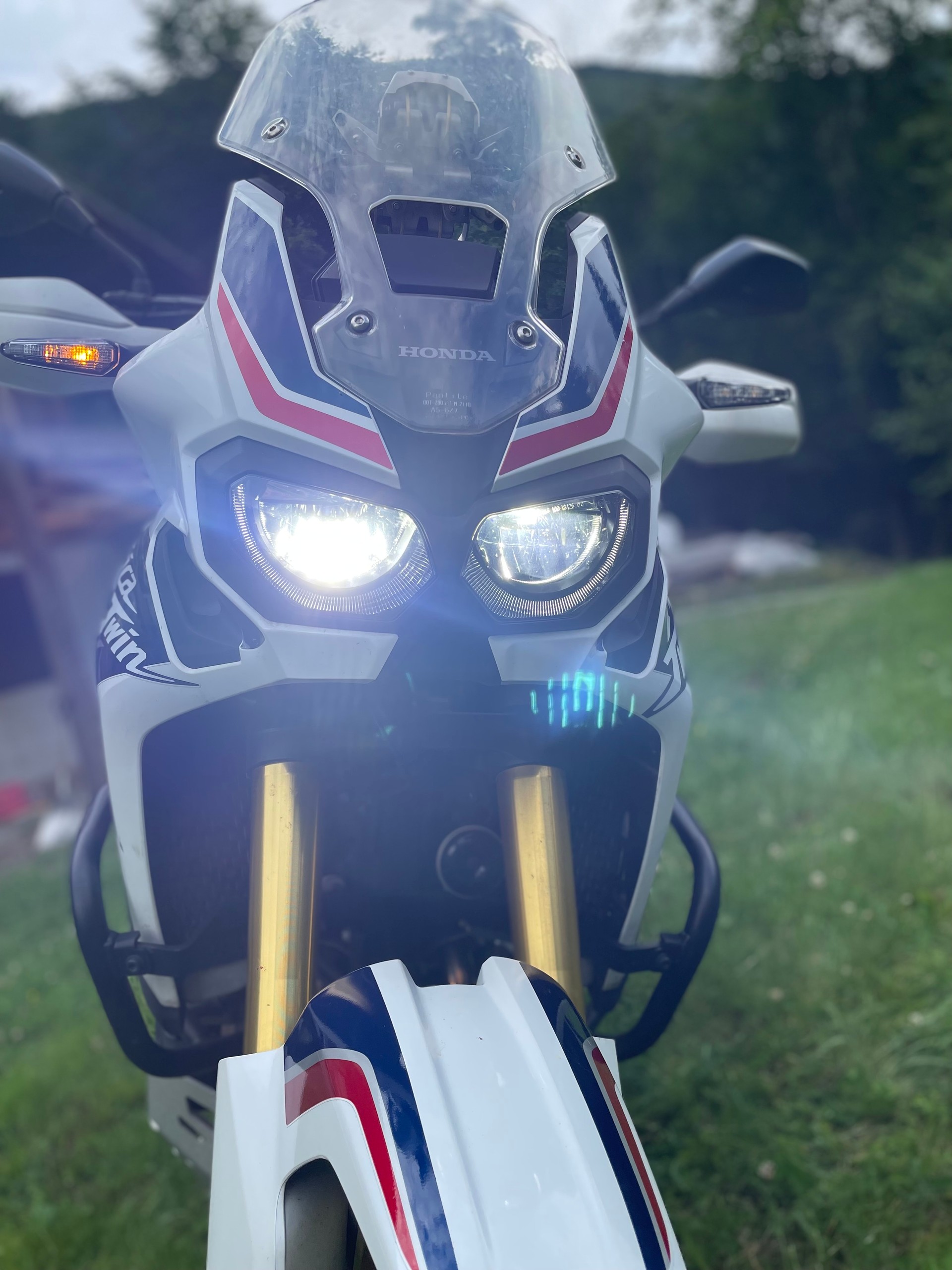 HONDA CRF 1000AD DTC Africa Twin-image-0