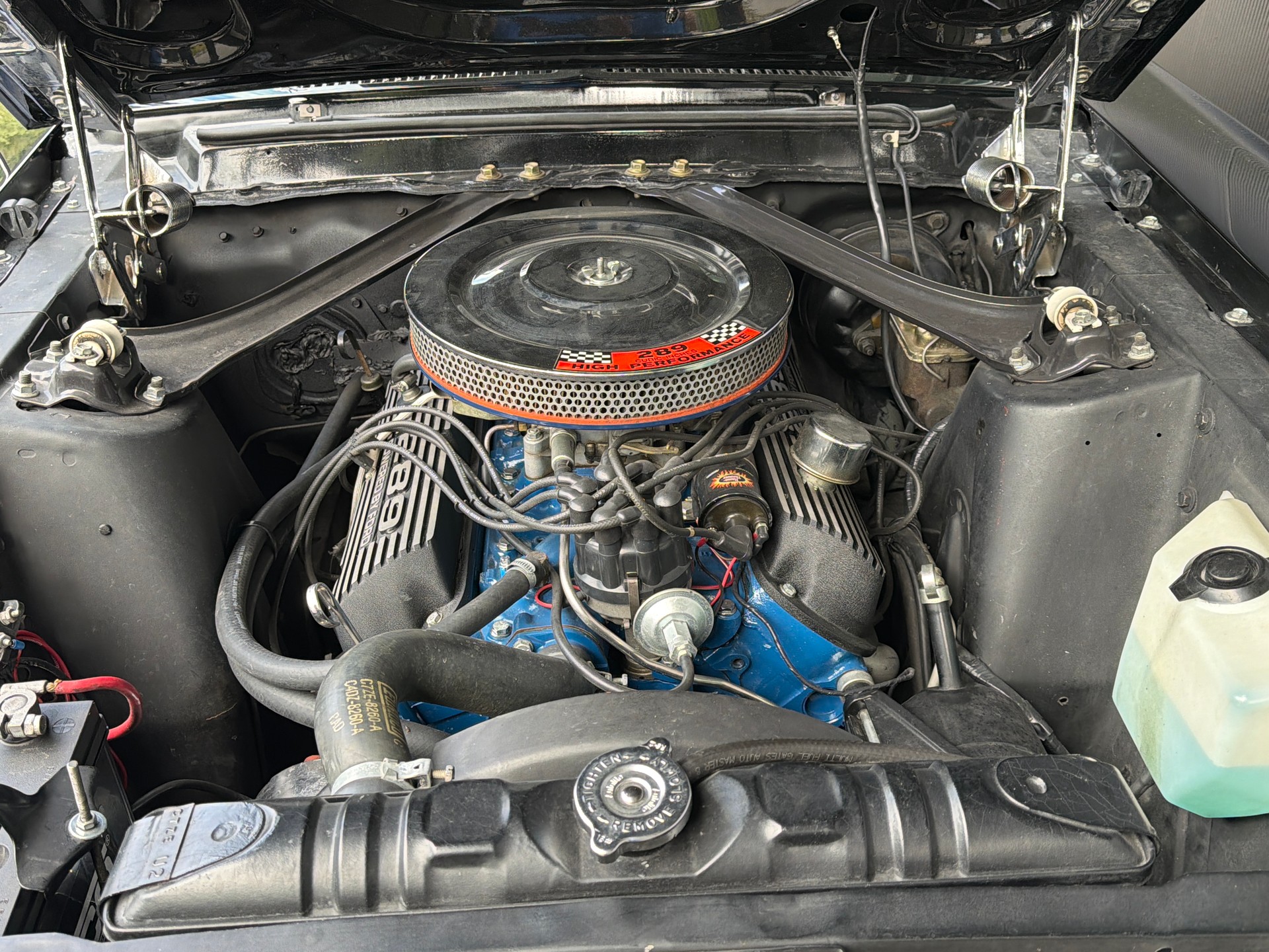 FORD Mustang 289 V8 Fastback-image-8