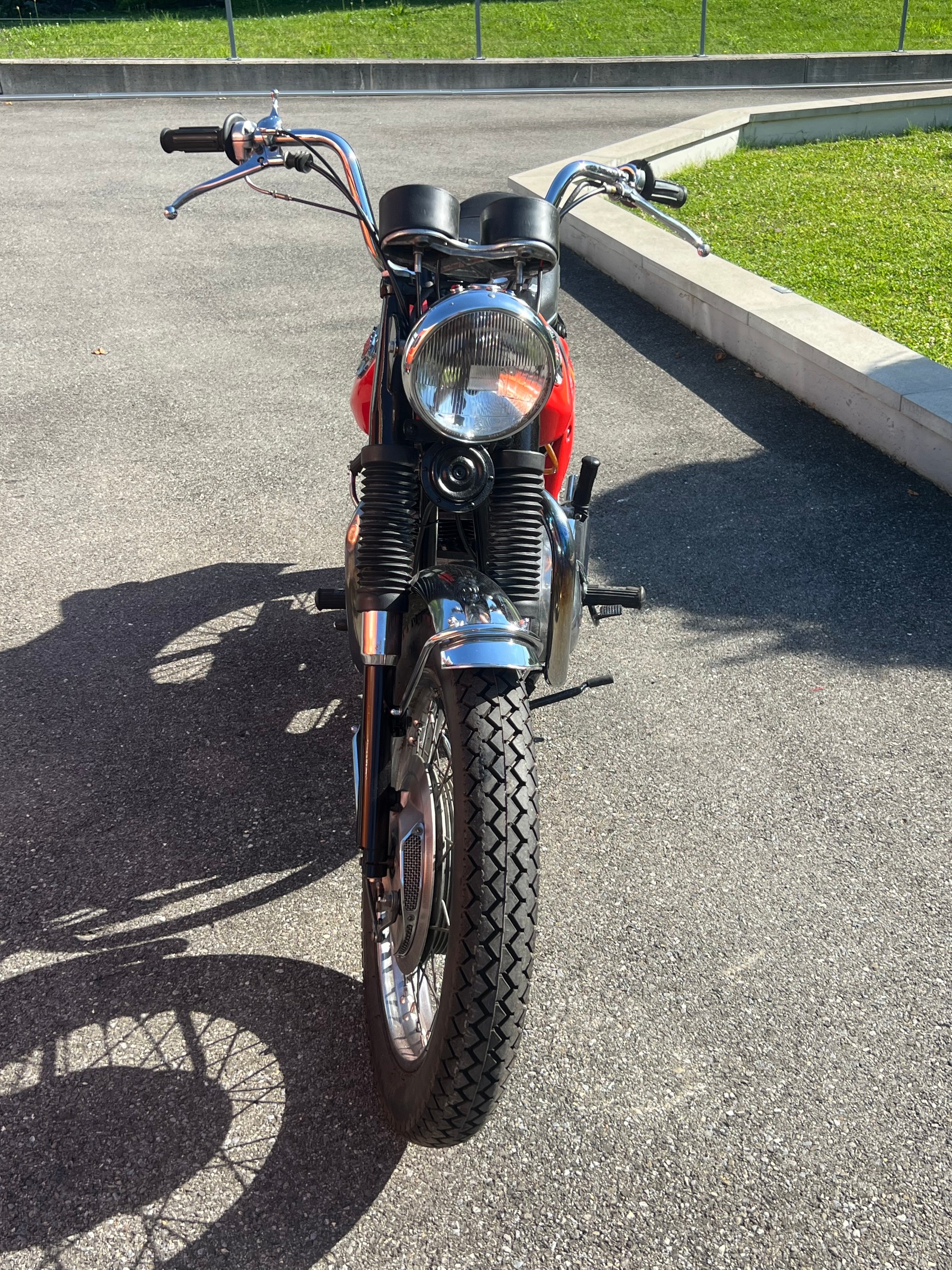 BSA-image-2