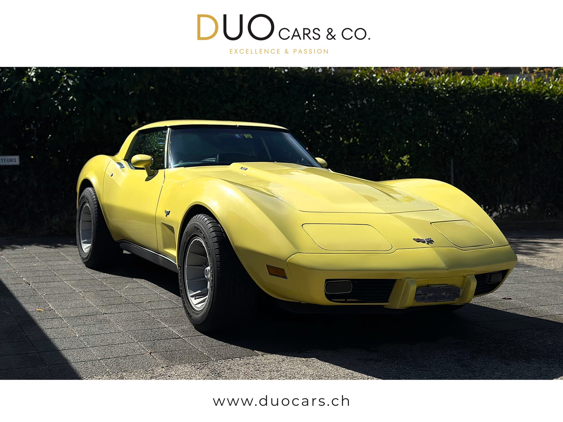 CHEVROLET CORVETTE