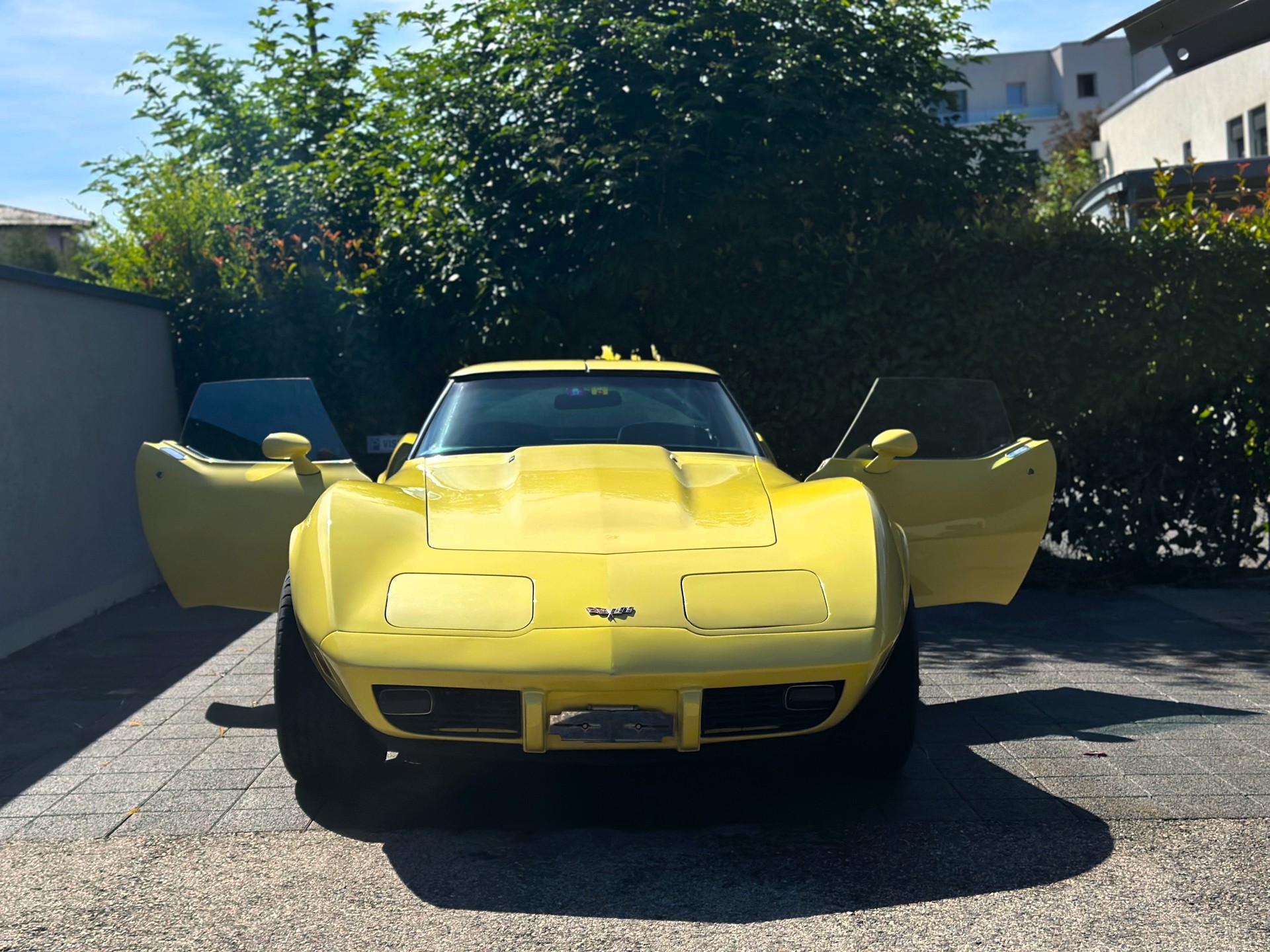 CHEVROLET CORVETTE-showroom-element-2