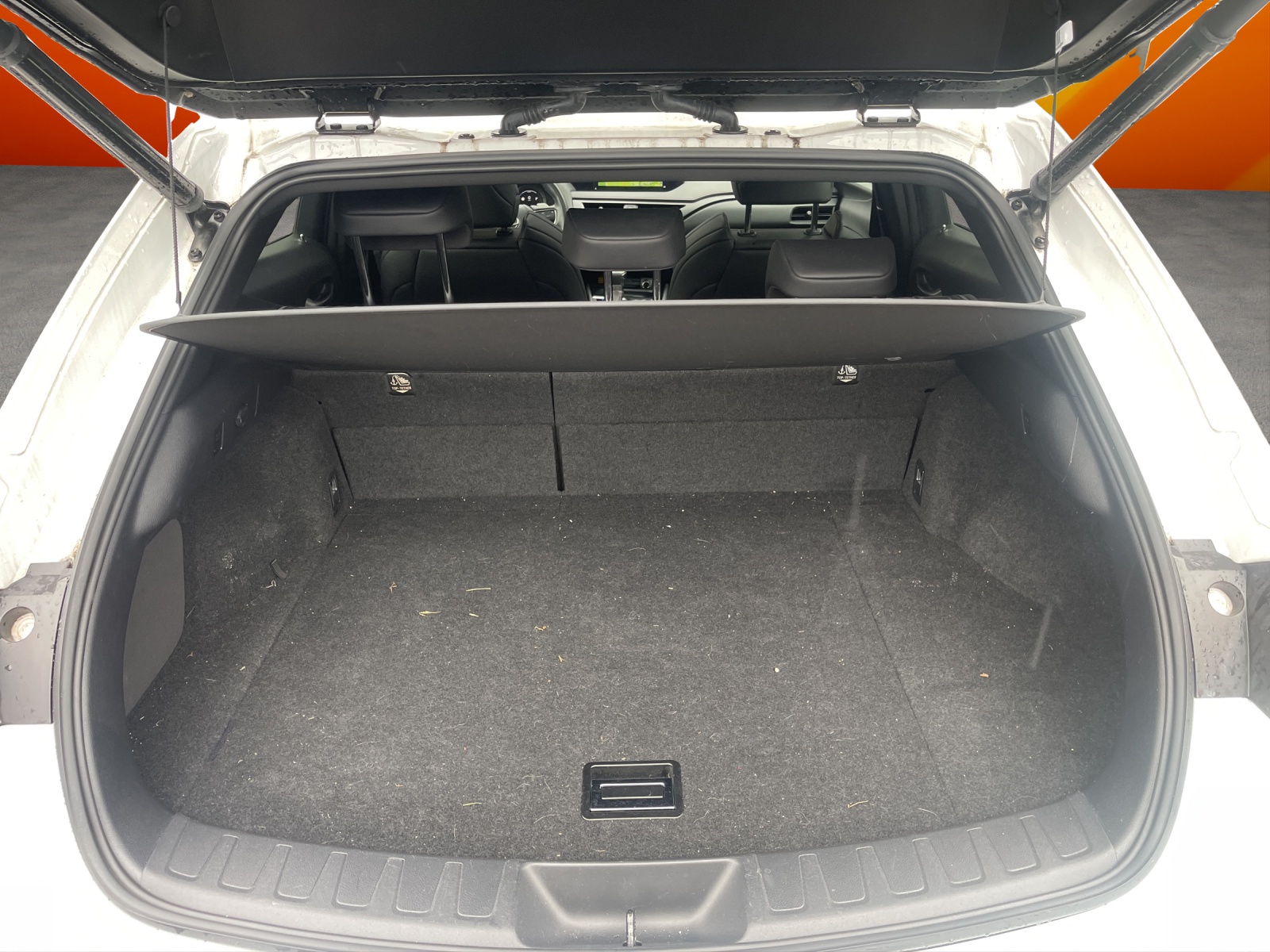 LEXUS UX 250h F Sport AWD Automatic-image-12