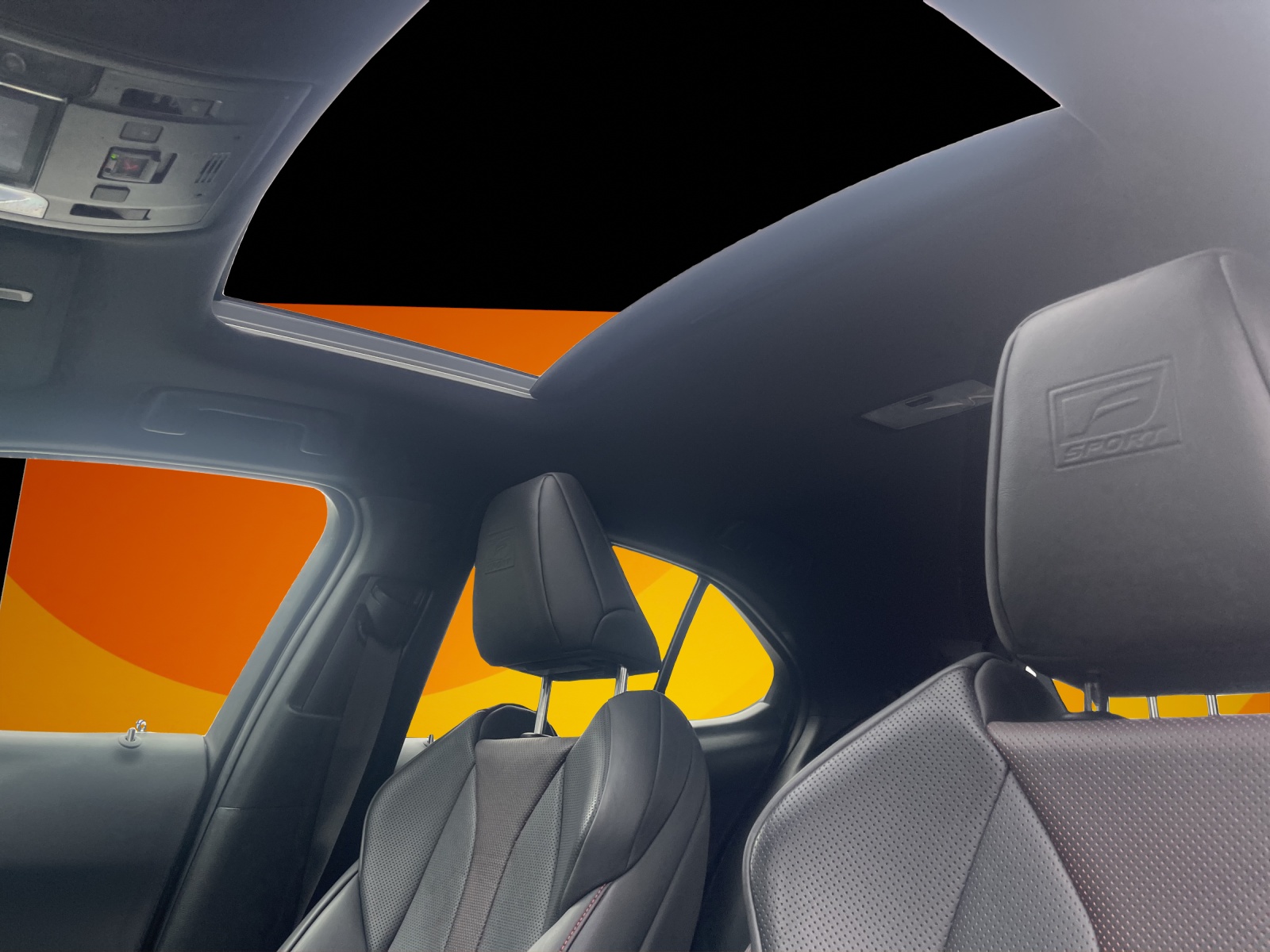LEXUS UX 250h F Sport AWD Automatic-image-13