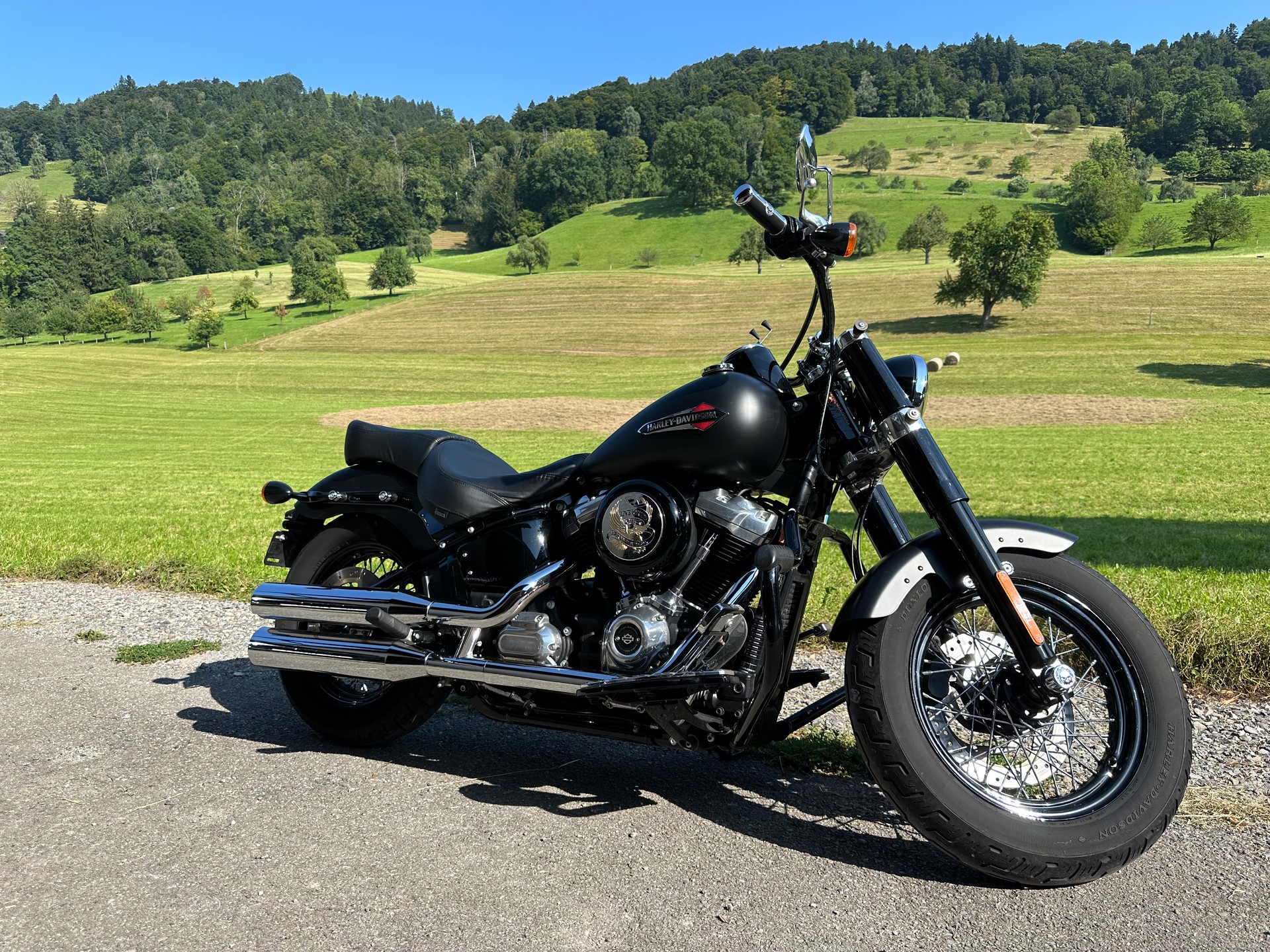 HARLEY-DAVIDSON FLSL Softail Slim 107 ABS-image-0