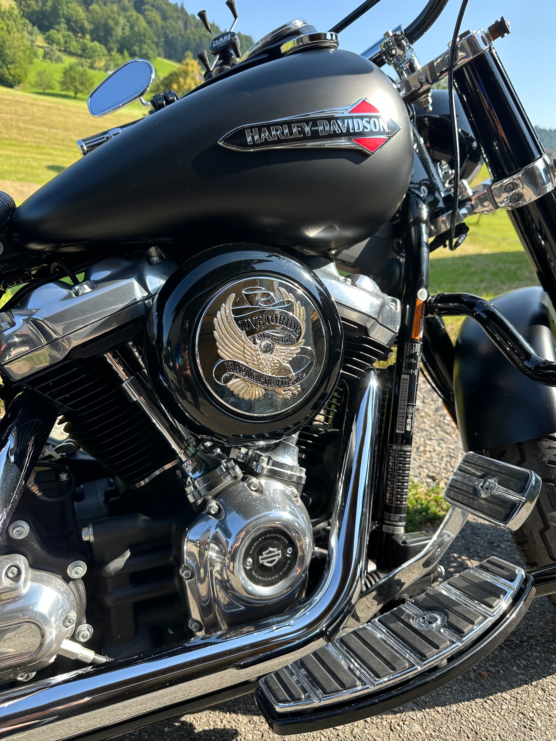 HARLEY-DAVIDSON FLSL Softail Slim 107 ABS-image-5