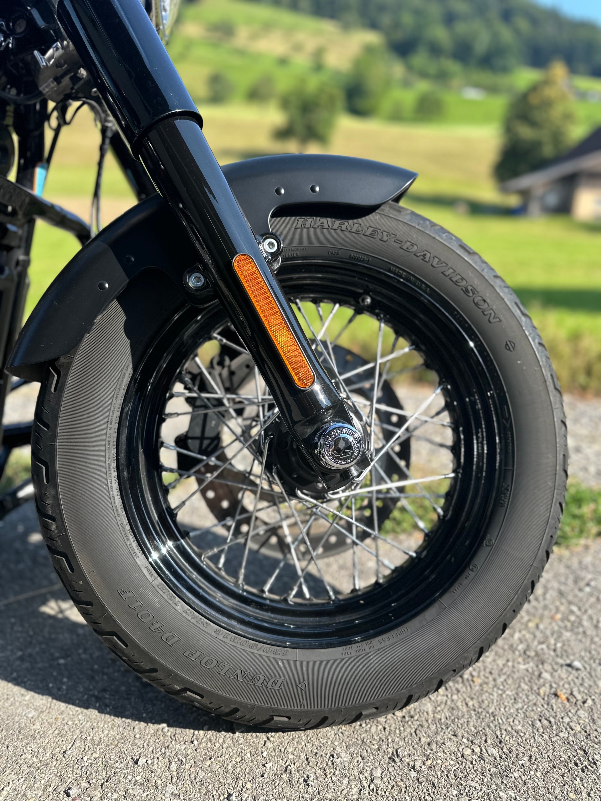 HARLEY-DAVIDSON FLSL Softail Slim 107 ABS-image-4